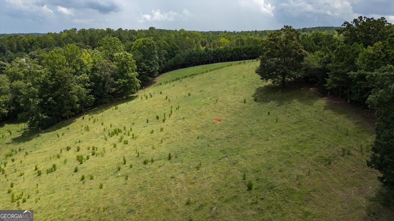 0 County Road 19 Property Photo 27