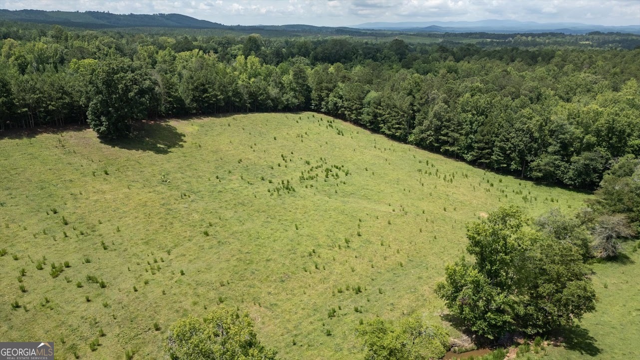0 County Road 19 Property Photo 29