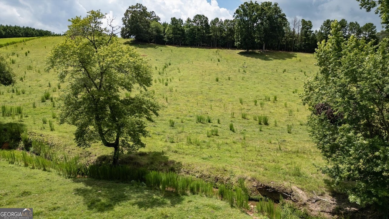 0 County Road 19 Property Photo 30