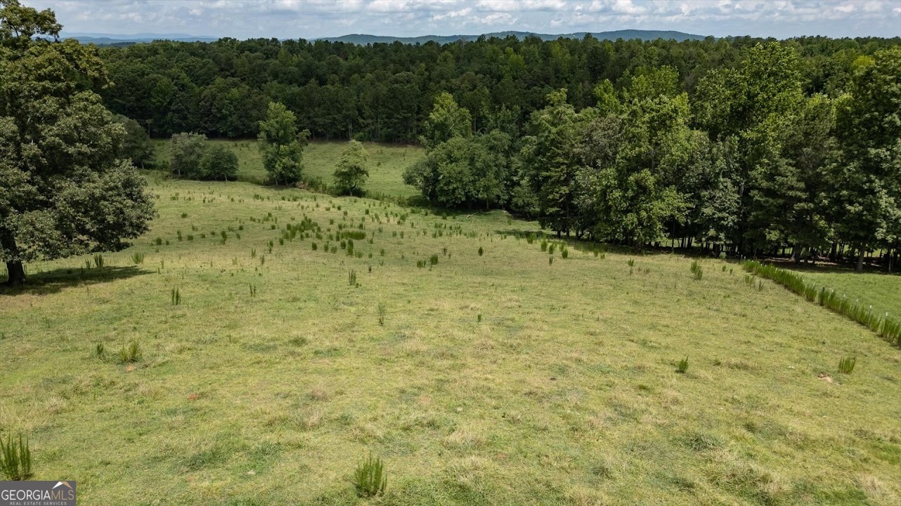 0 County Road 19 Property Photo 31