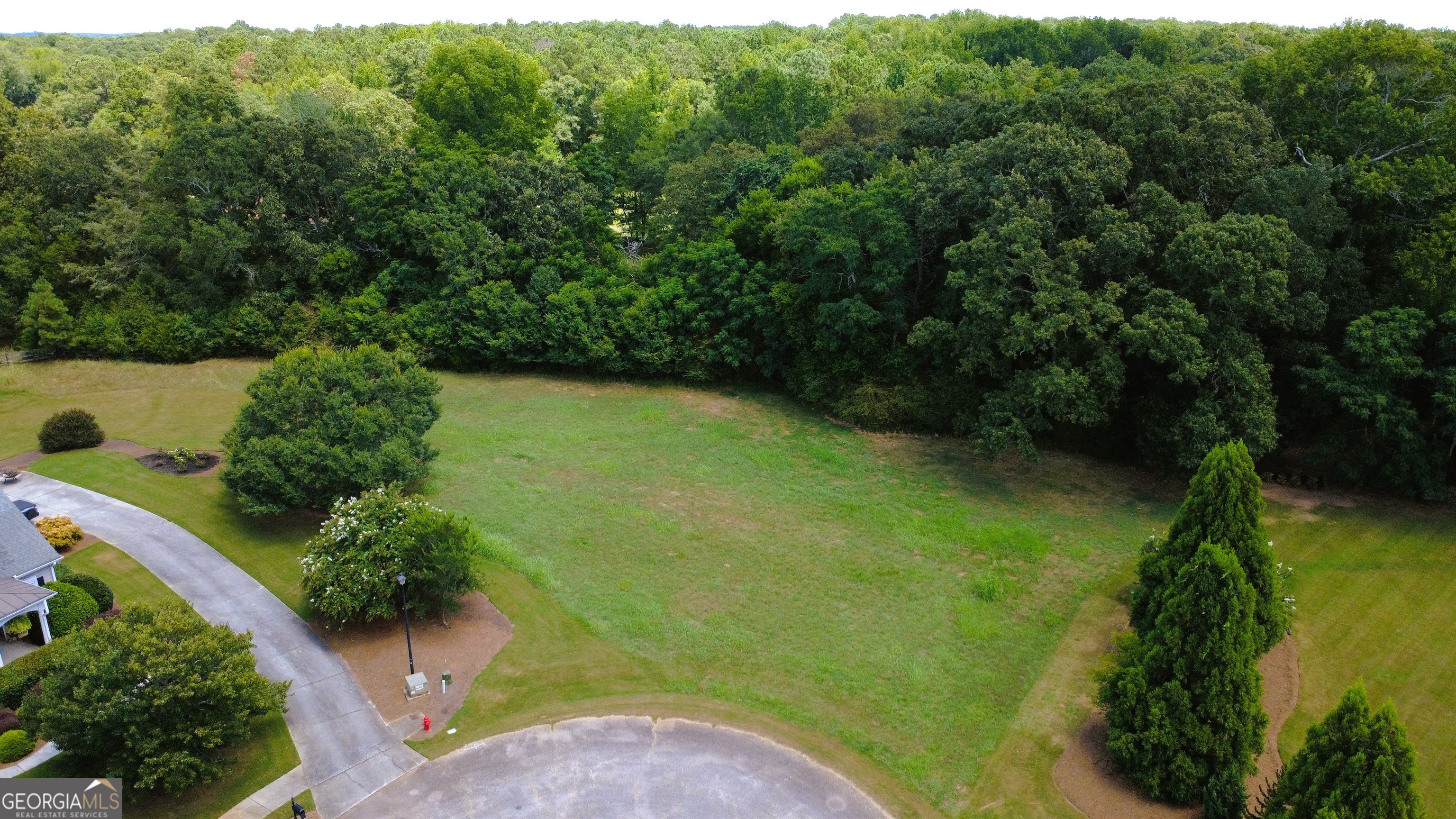 1011 Boxwood Place Property Photo 5