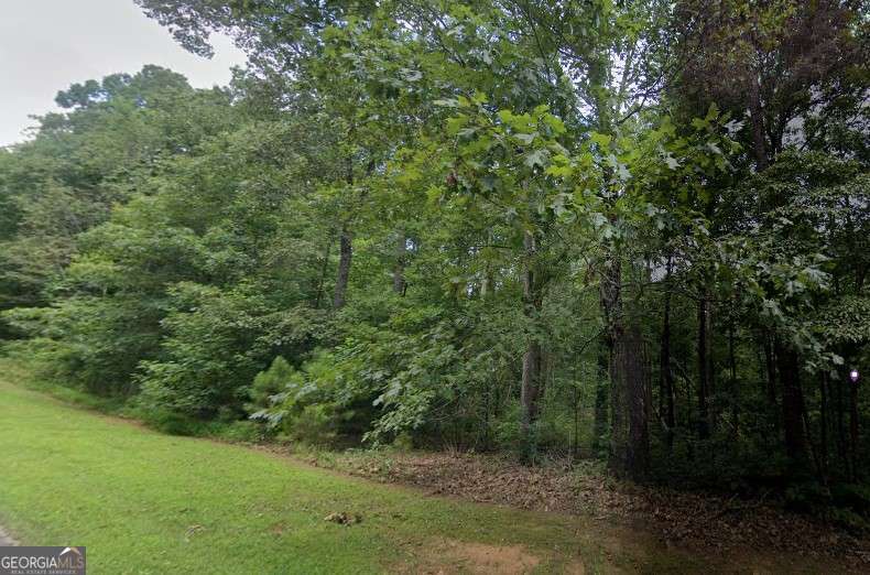 0 Doll Mountain Road Property Photo 3