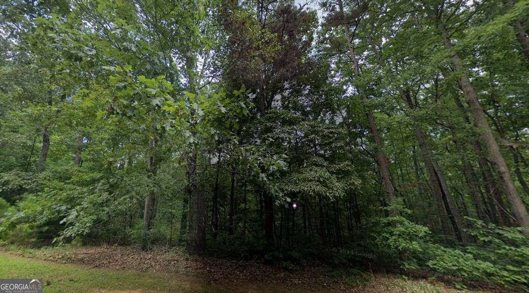 0 Doll Mountain Road Property Photo 5