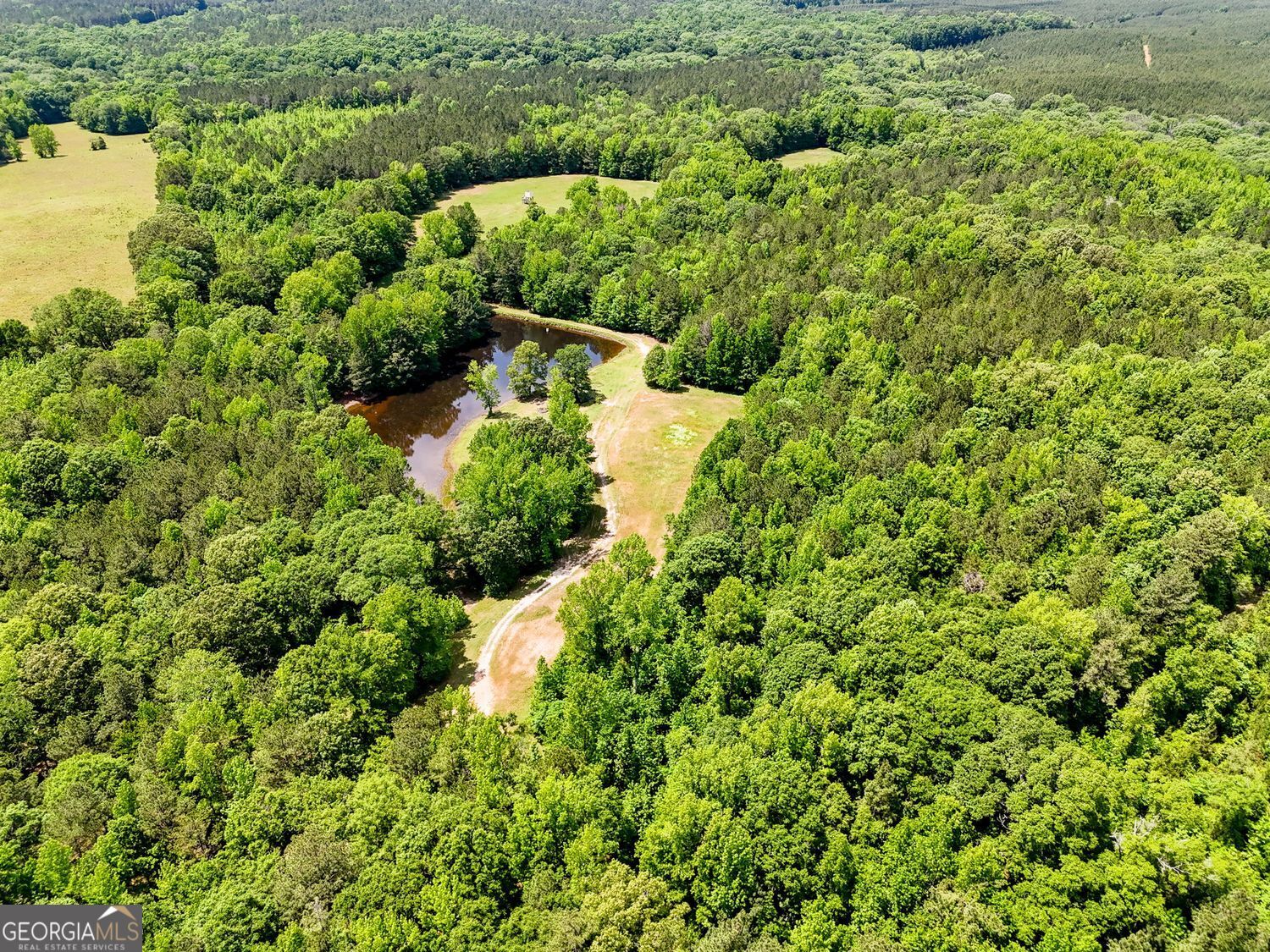 102 +/- Acres - Old Zebulon Road Property Photo 1