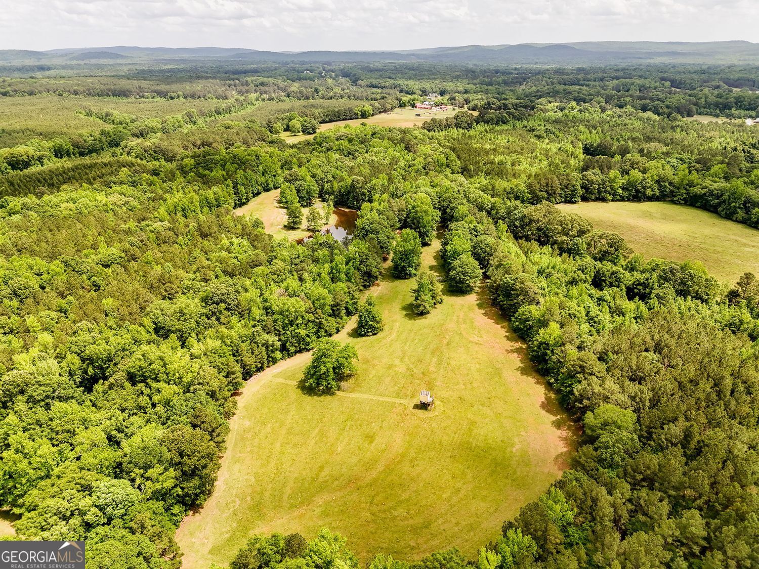 102 +/- Acres - Old Zebulon Road Property Photo 2