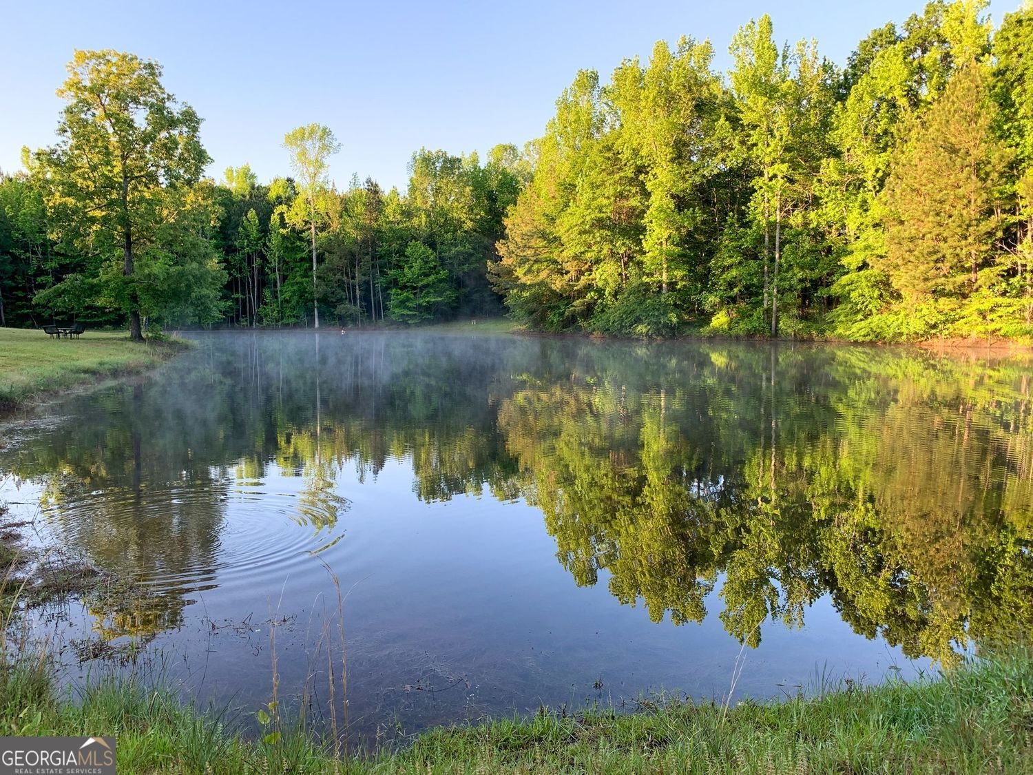 102 +/- Acres - Old Zebulon Road Property Photo 3