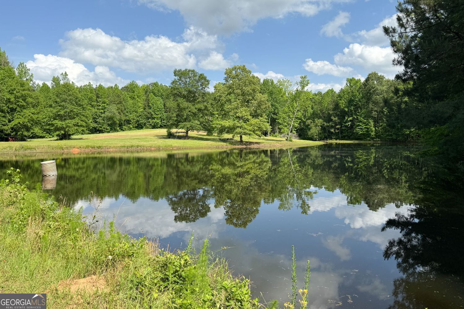 102 +/- Acres - Old Zebulon Road Property Photo 4