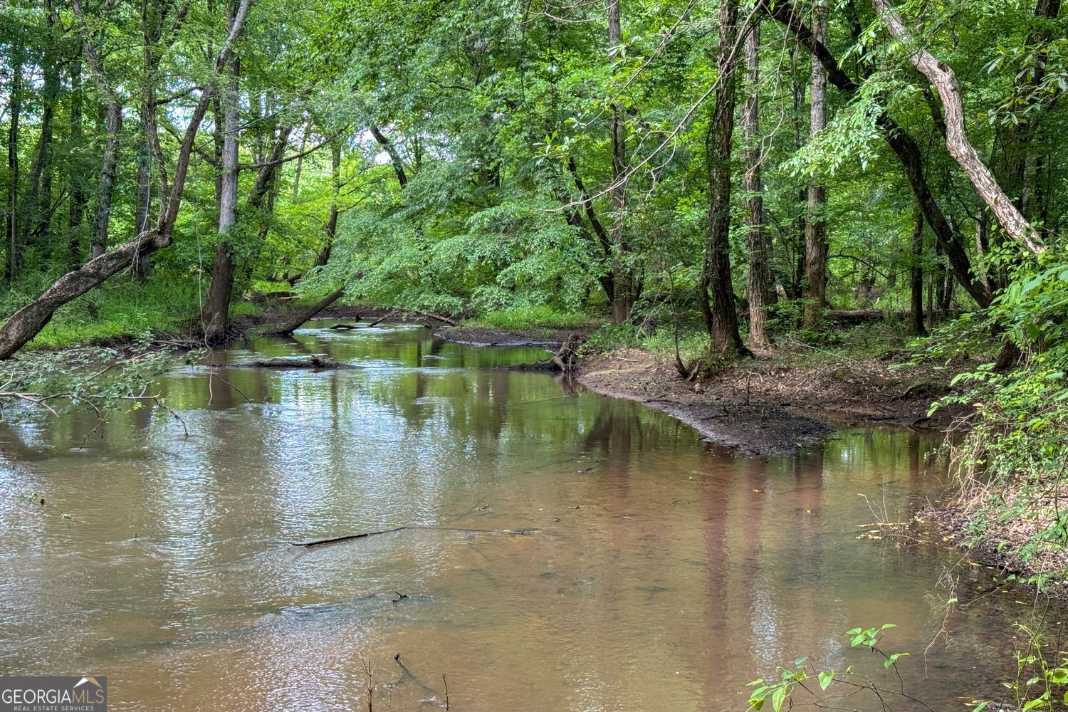 102 +/- Acres - Old Zebulon Road Property Photo 5