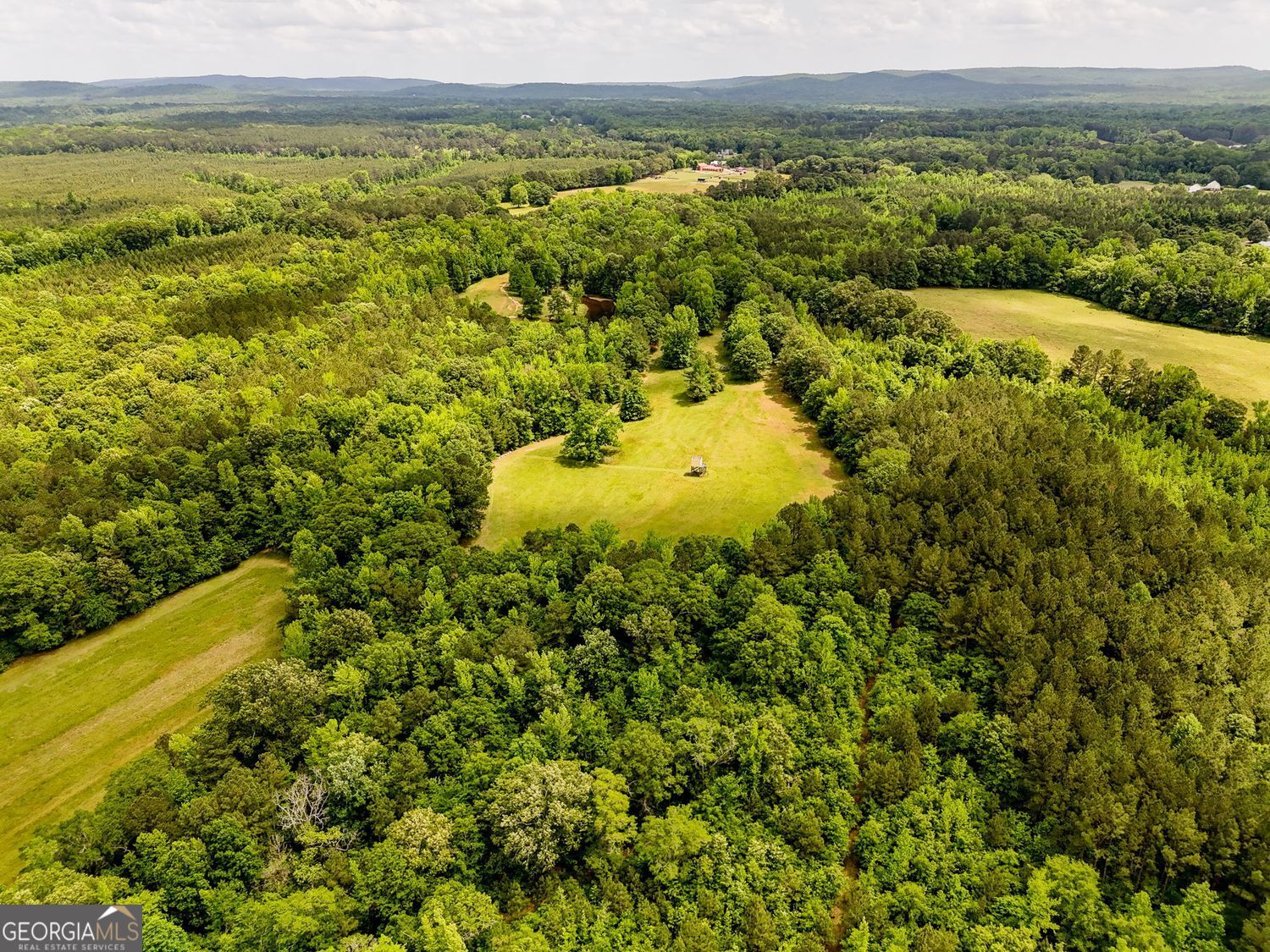 102 +/- Acres - Old Zebulon Road Property Photo 6