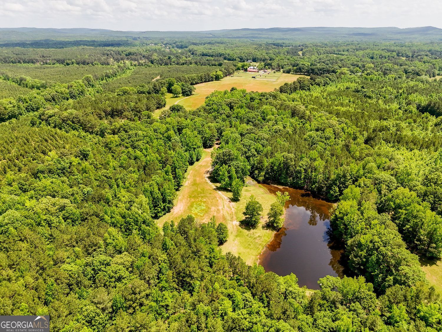 102 +/- Acres - Old Zebulon Road Property Photo 7