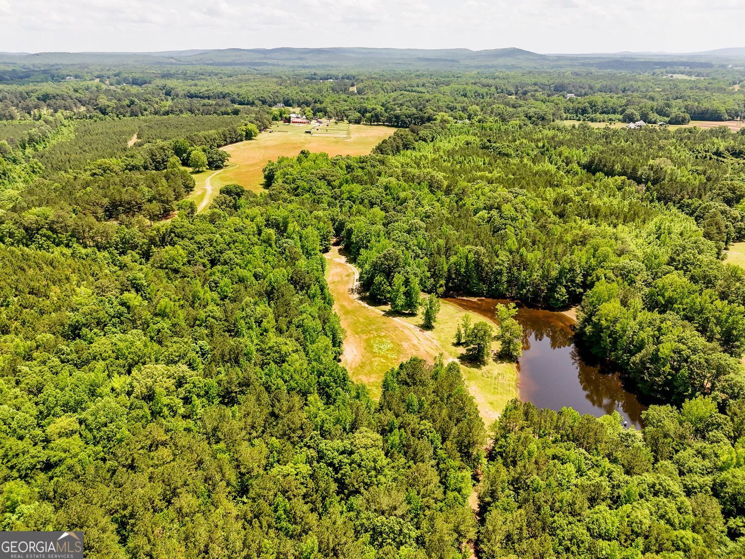 102 +/- Acres - Old Zebulon Road Property Photo 8