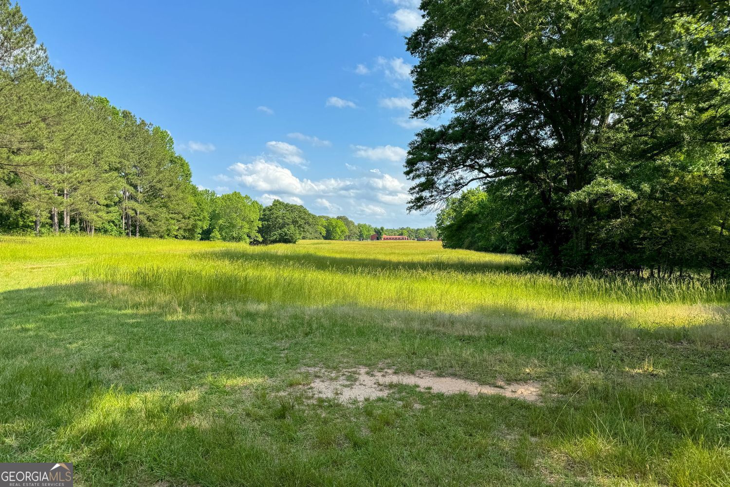 102 +/- Acres - Old Zebulon Road Property Photo 9