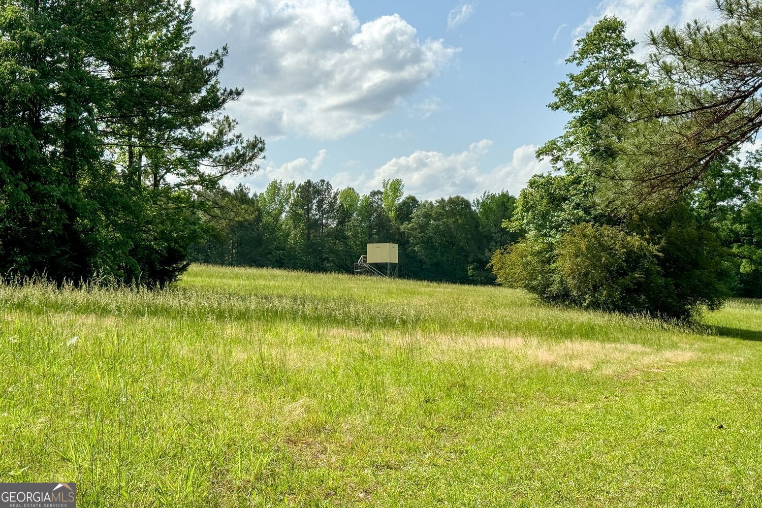 102 +/- Acres - Old Zebulon Road Property Photo 10