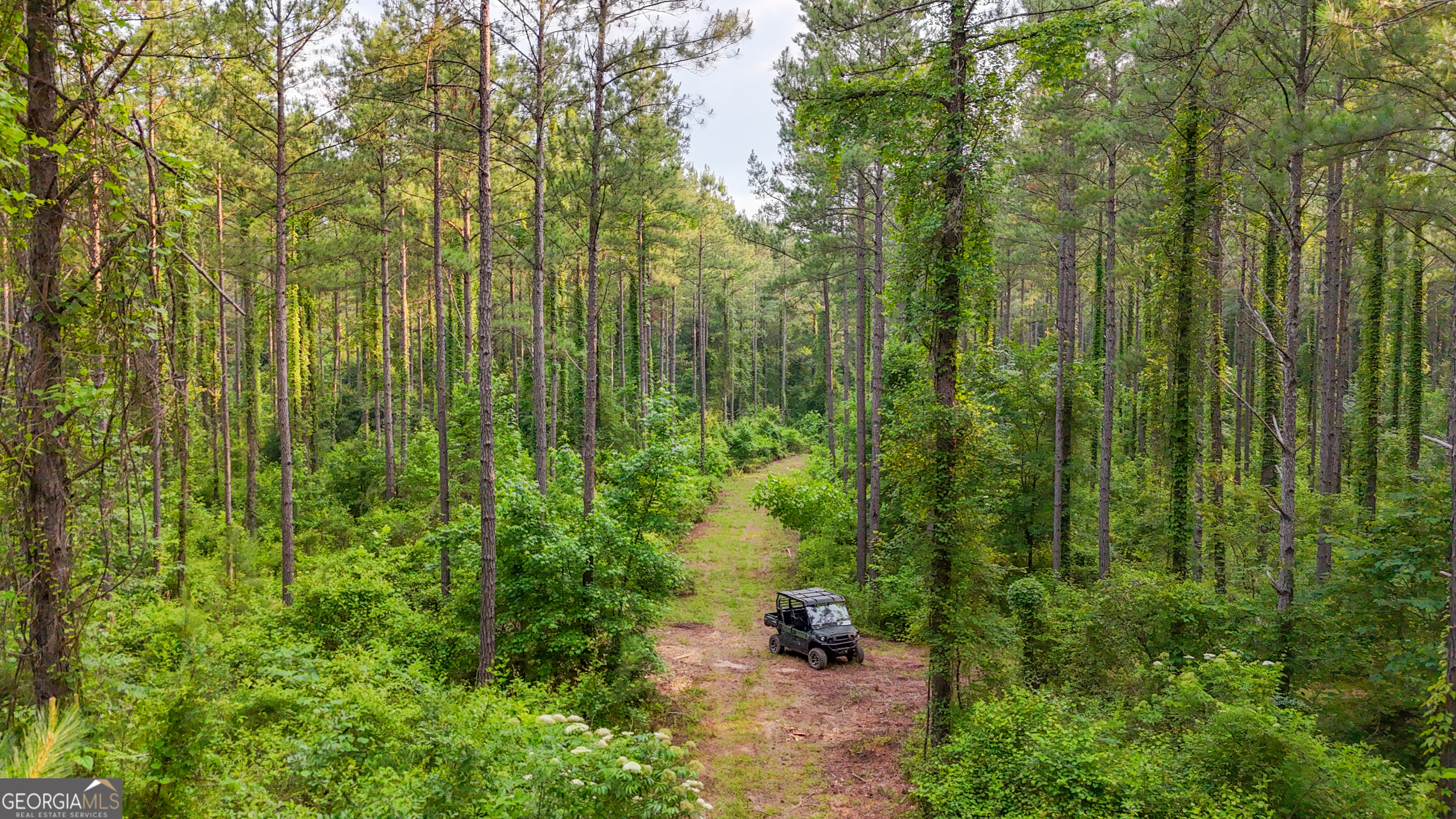 3644-3792 Fortune Hole Road Property Photo 1