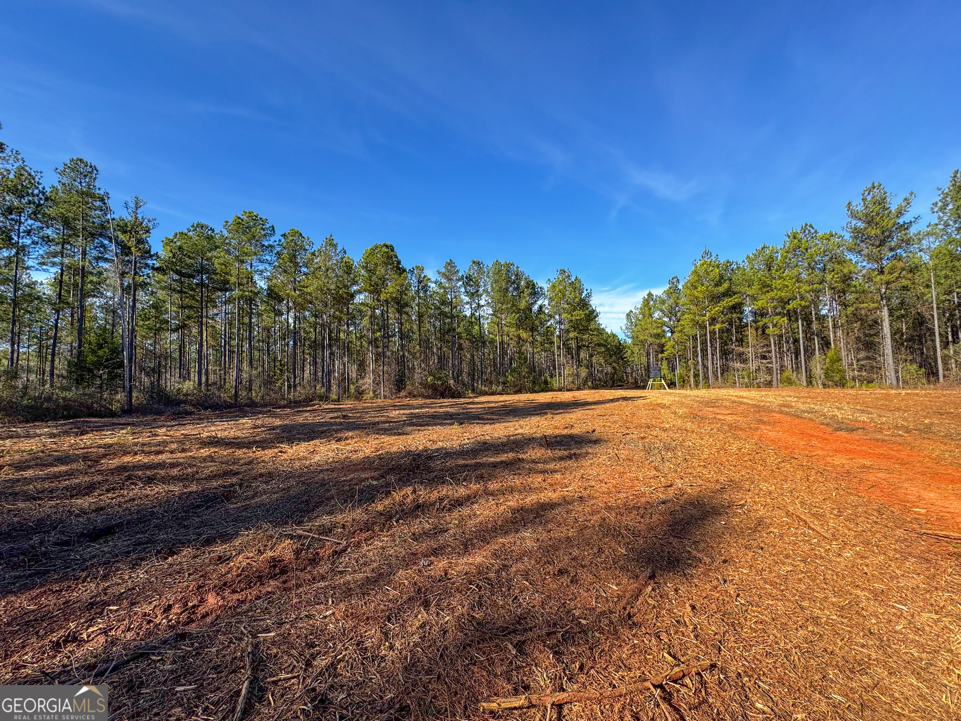 3644-3792 Fortune Hole Road Property Photo 2