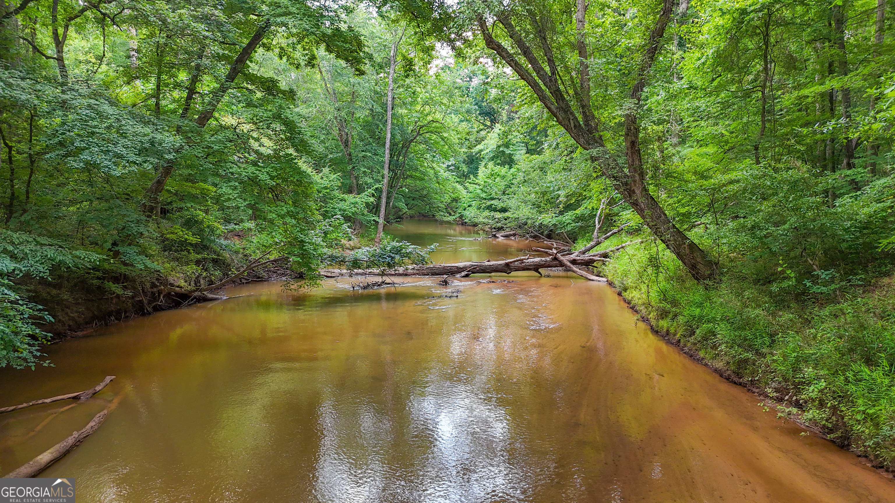 3644-3792 Fortune Hole Road Property Photo 3