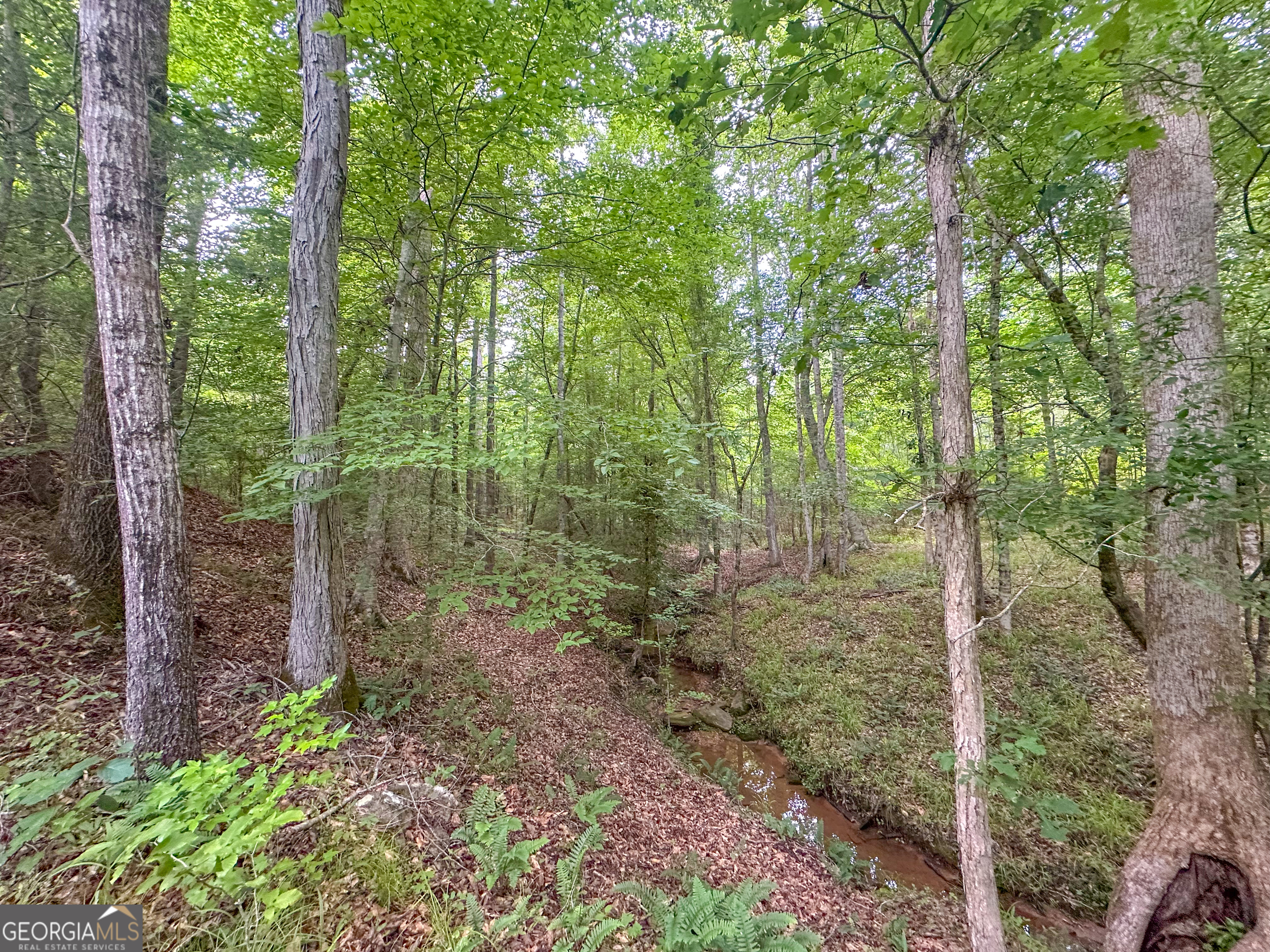 3644-3792 Fortune Hole Road Property Photo 4