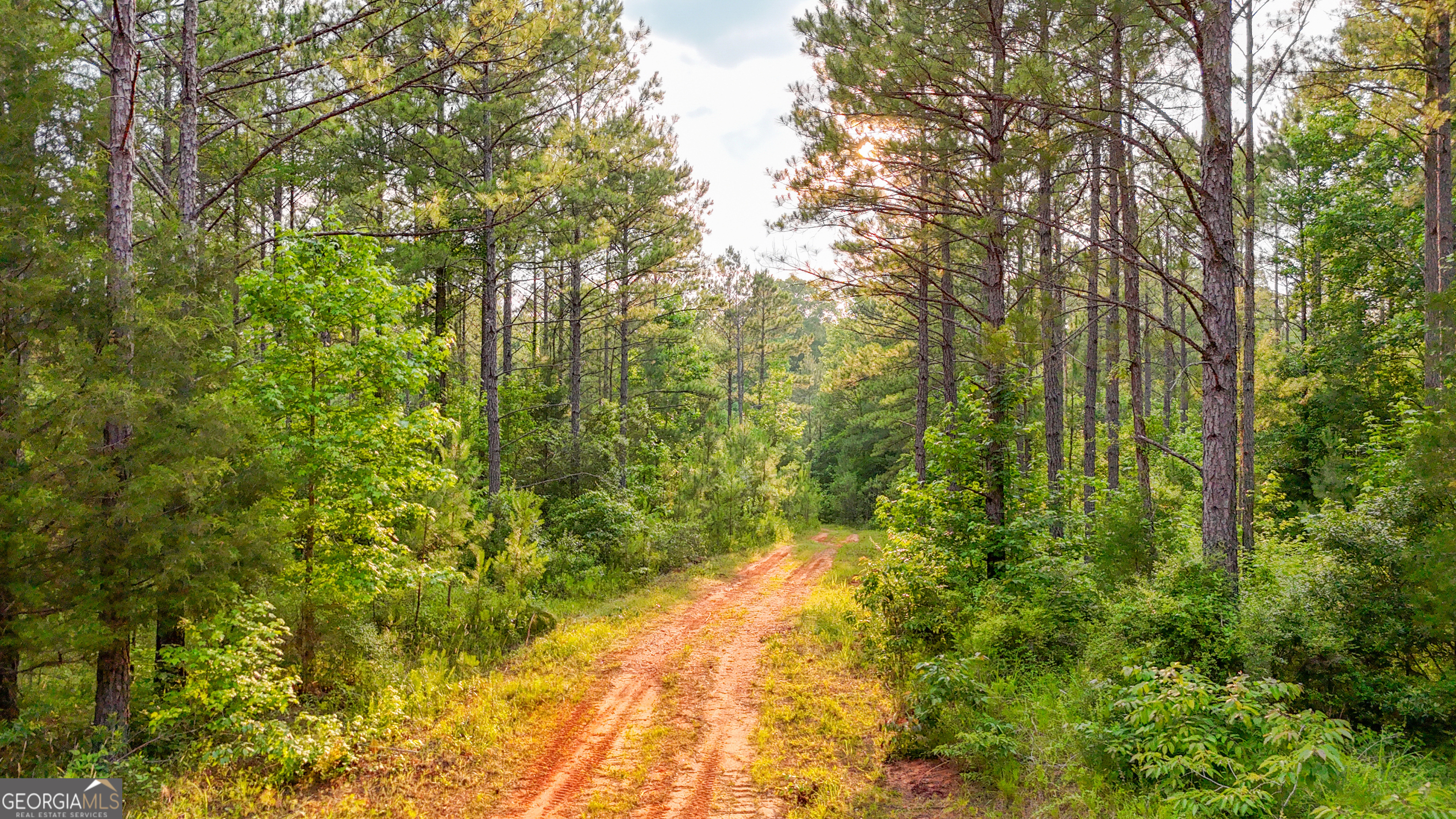 3644-3792 Fortune Hole Road Property Photo 5