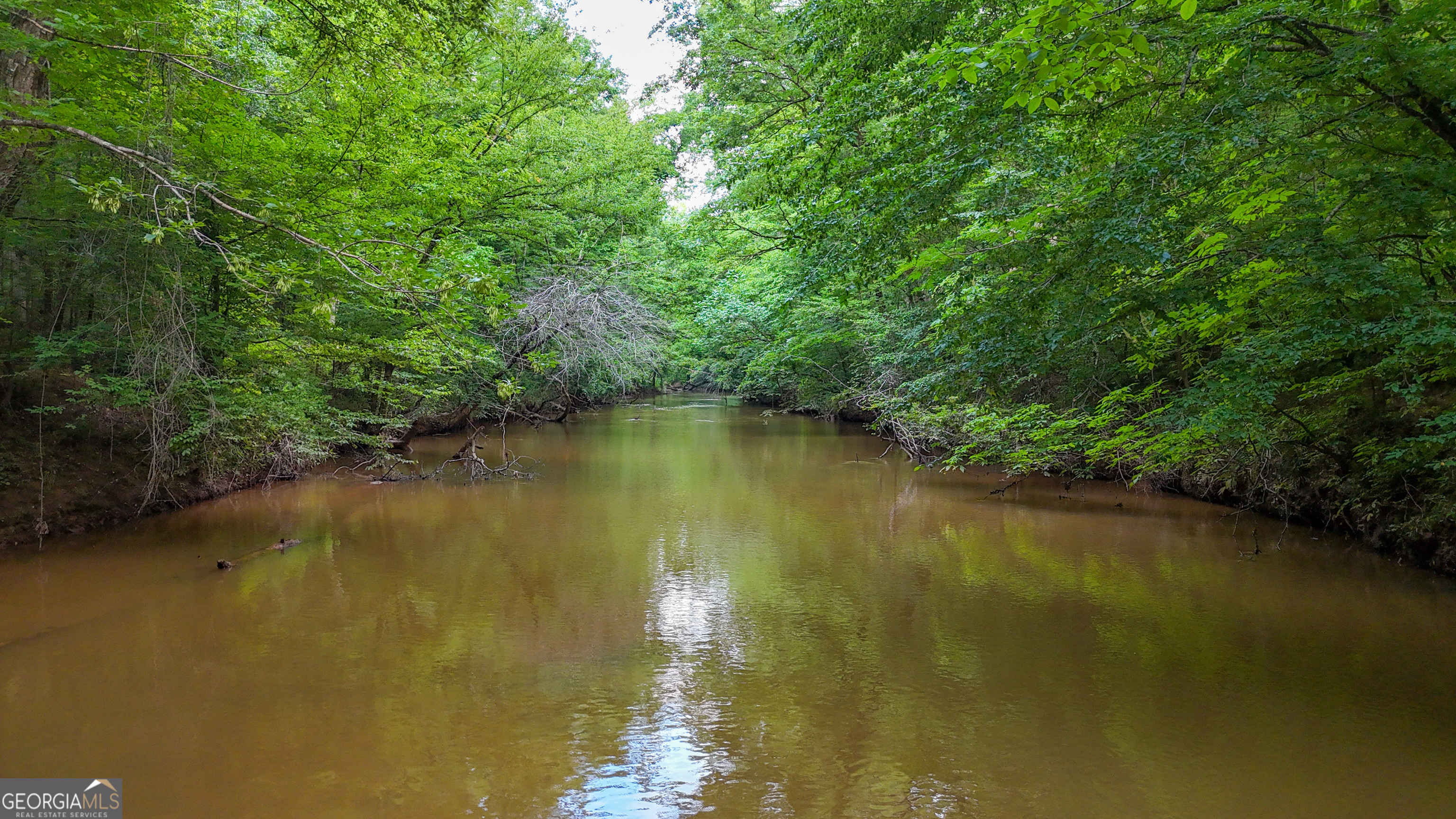 3644-3792 Fortune Hole Road Property Photo 6