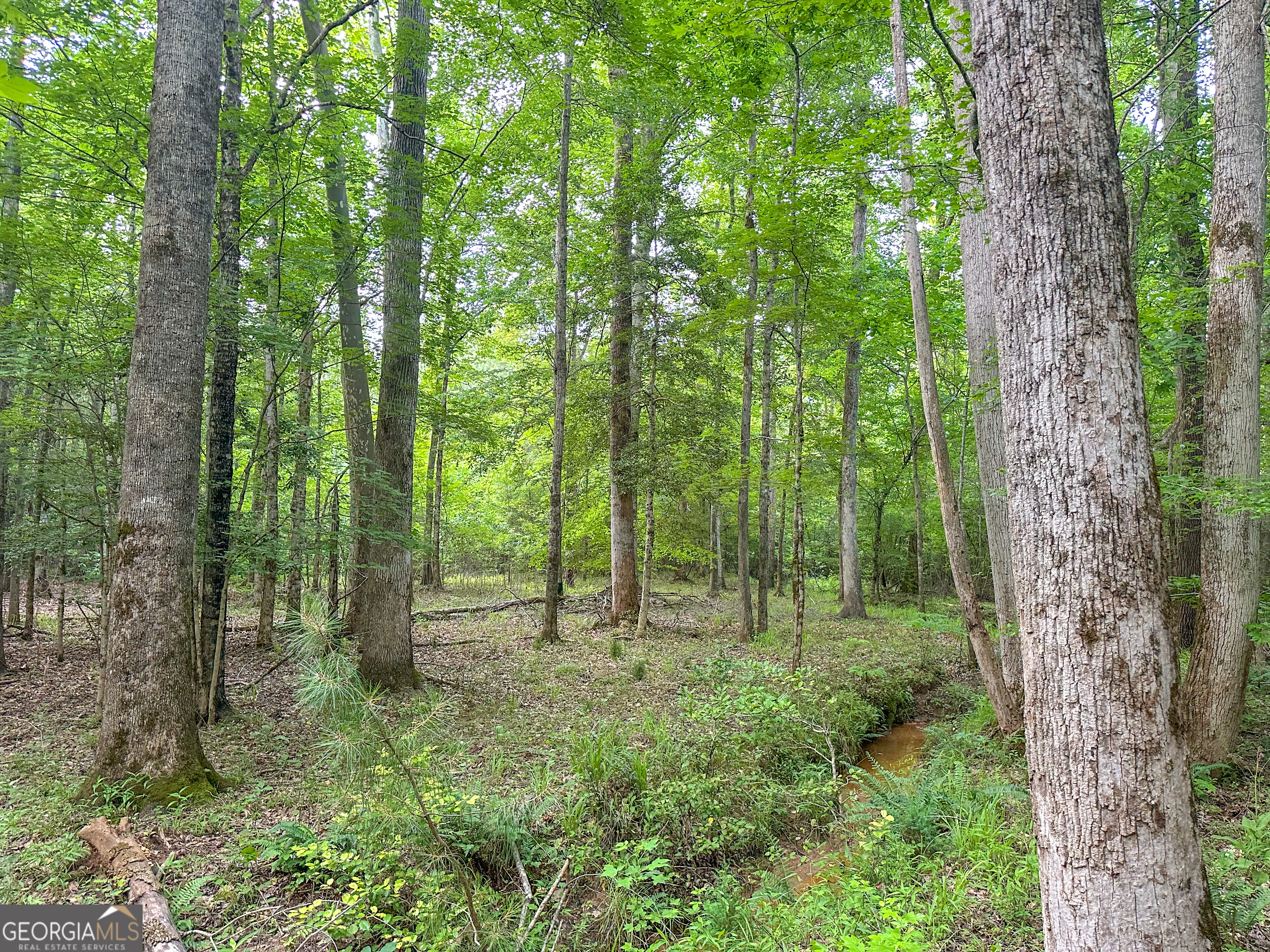 3644-3792 Fortune Hole Road Property Photo 7