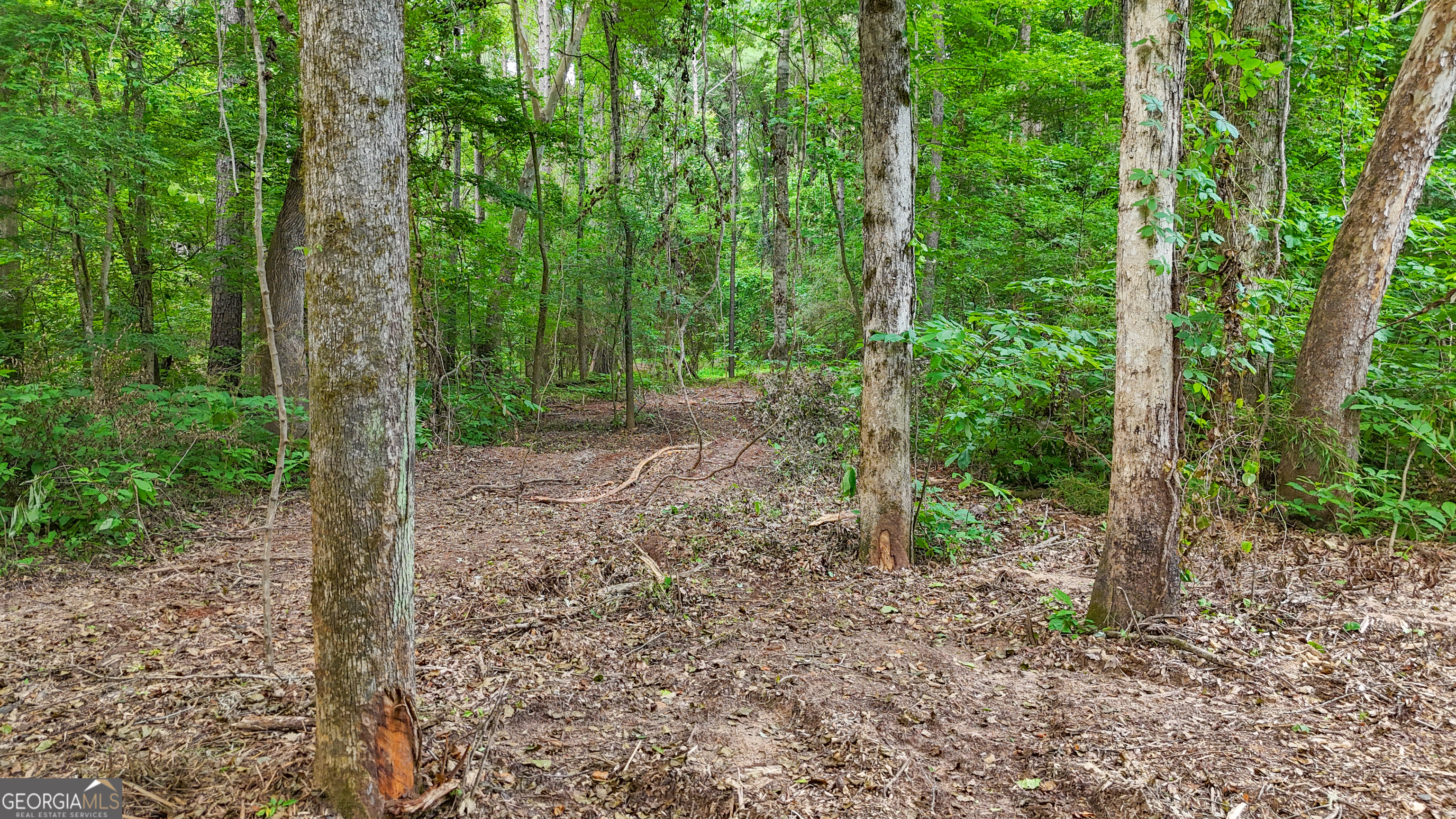 3644-3792 Fortune Hole Road Property Photo 8
