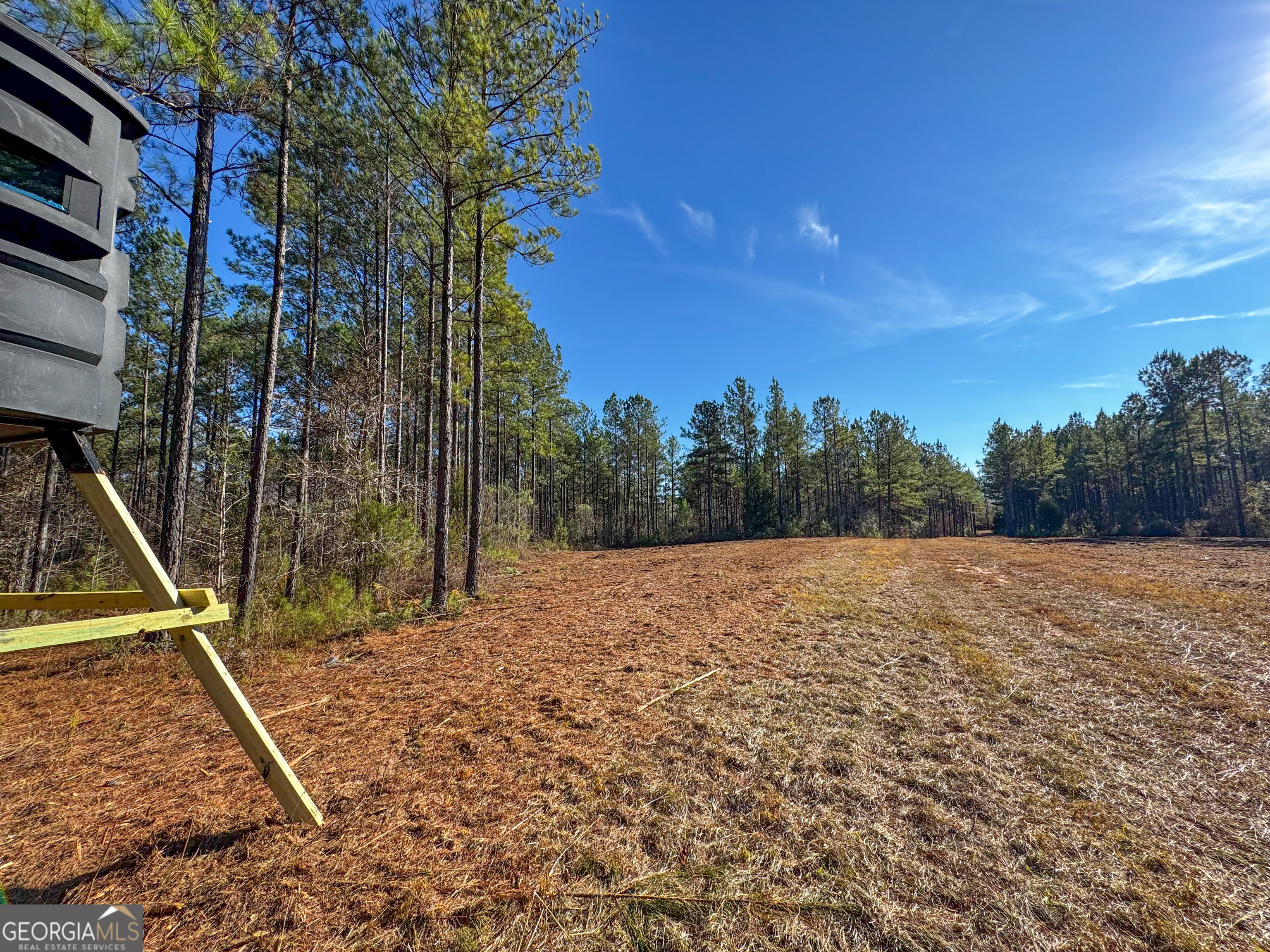 3644-3792 Fortune Hole Road Property Photo 9