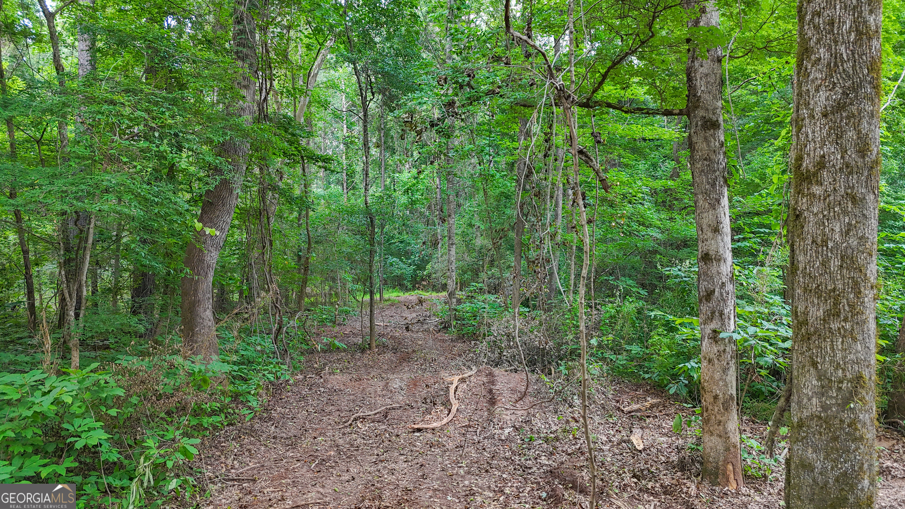 3644-3792 Fortune Hole Road Property Photo 12