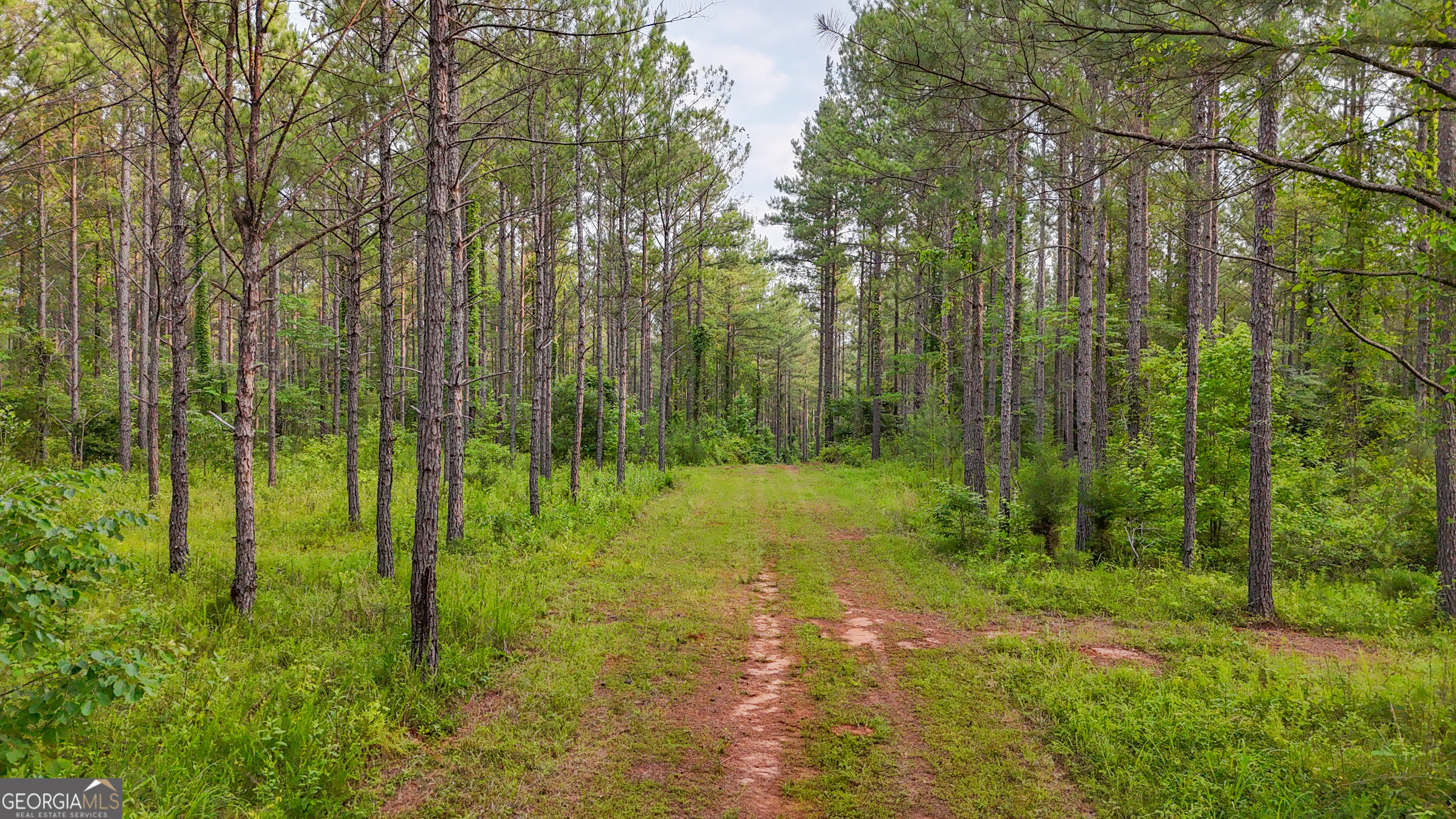 3644-3792 Fortune Hole Road Property Photo 14