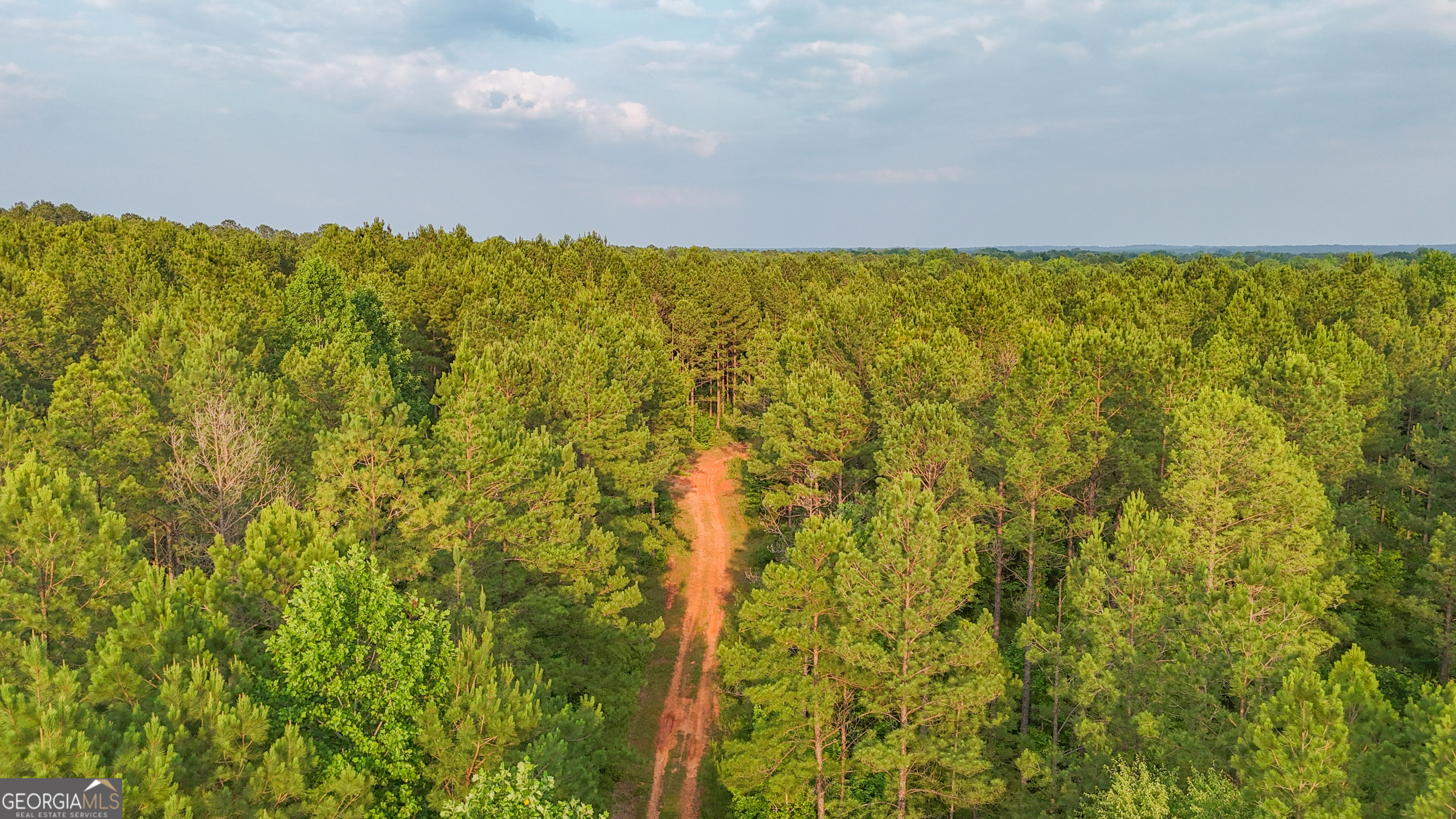 3644-3792 Fortune Hole Road Property Photo 15