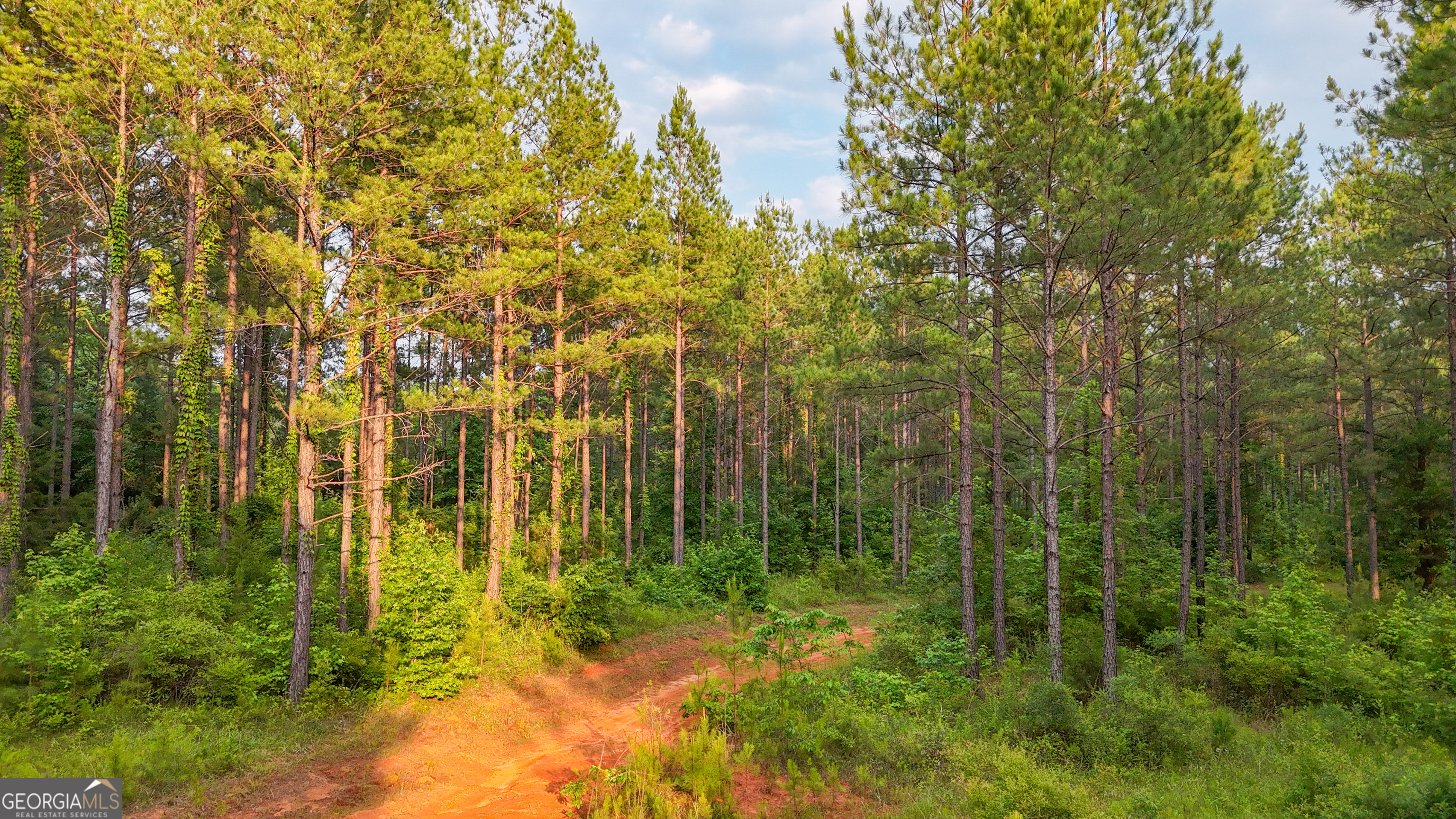 3644-3792 Fortune Hole Road Property Photo 16