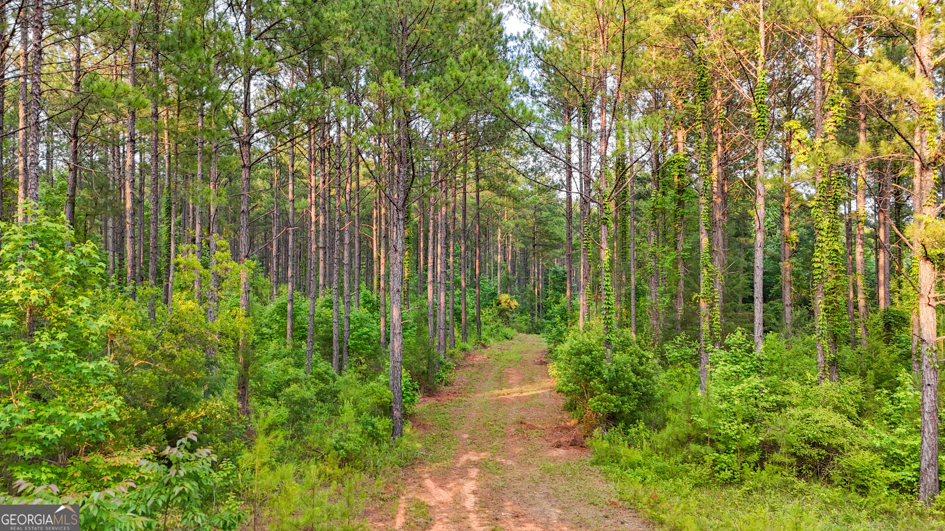 3644-3792 Fortune Hole Road Property Photo 17