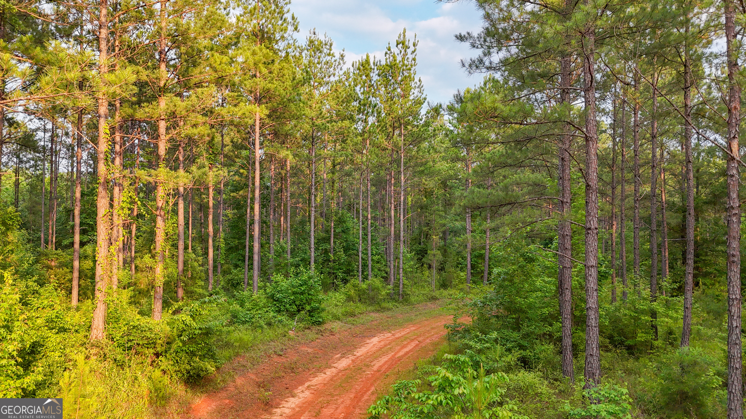 3644-3792 Fortune Hole Road Property Photo 18