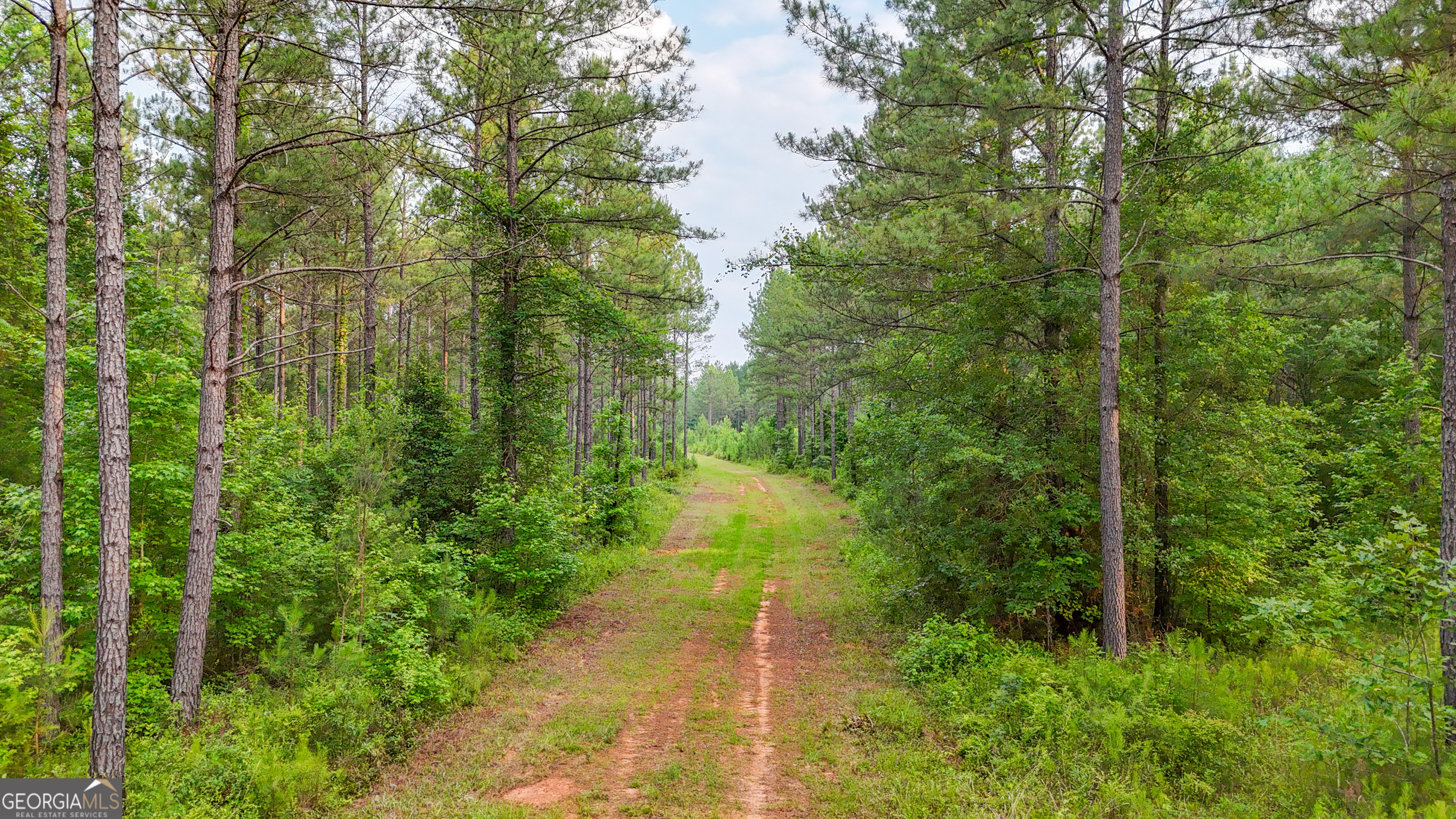 3644-3792 Fortune Hole Road Property Photo 19