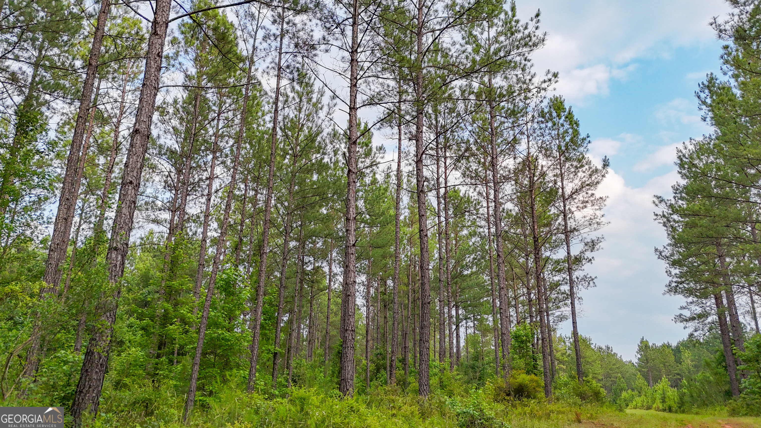 3644-3792 Fortune Hole Road Property Photo 20