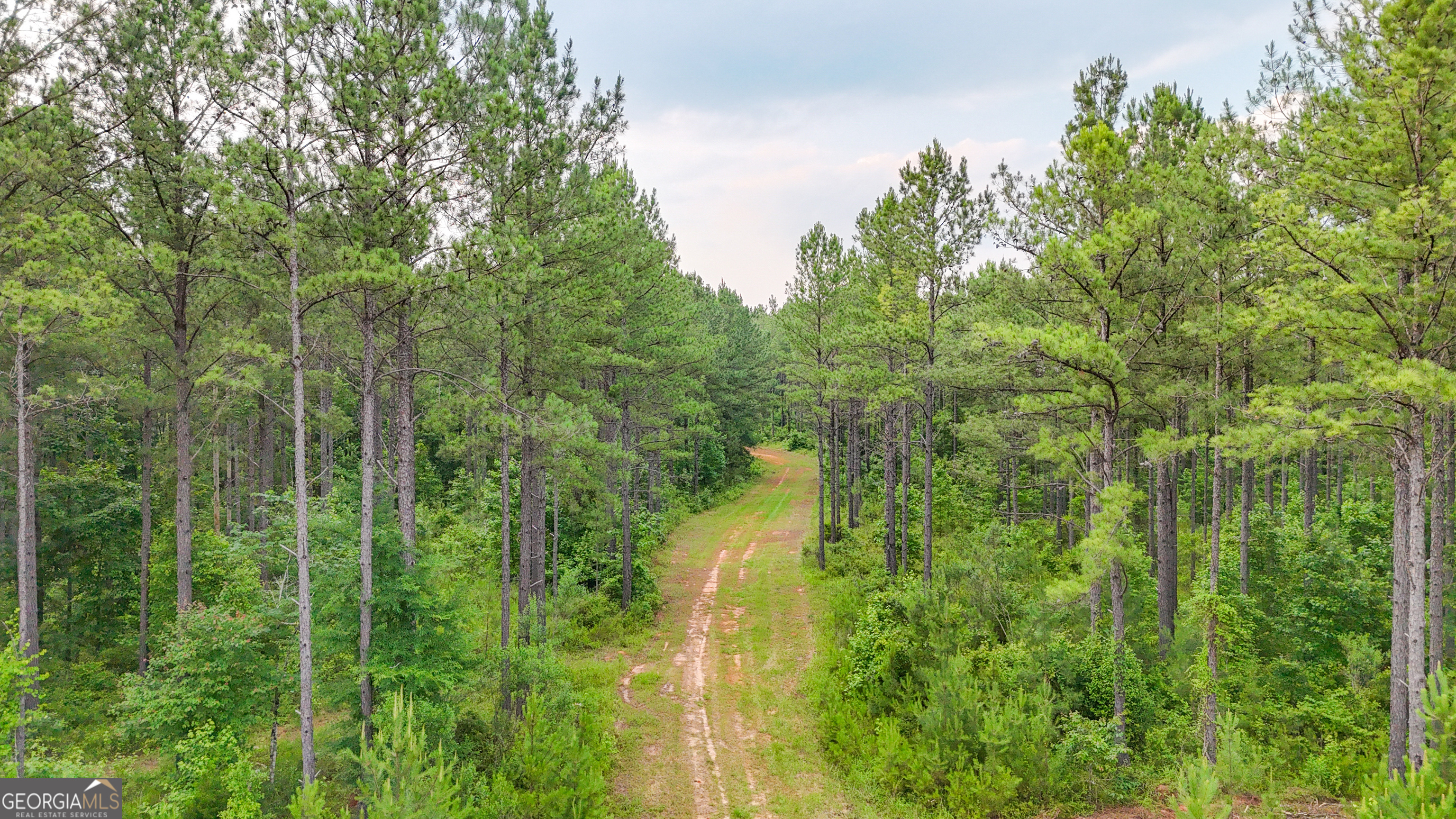 3644-3792 Fortune Hole Road Property Photo 21