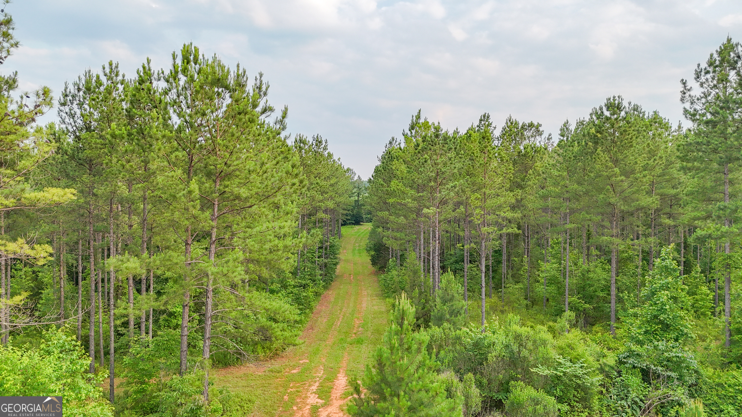 3644-3792 Fortune Hole Road Property Photo 22