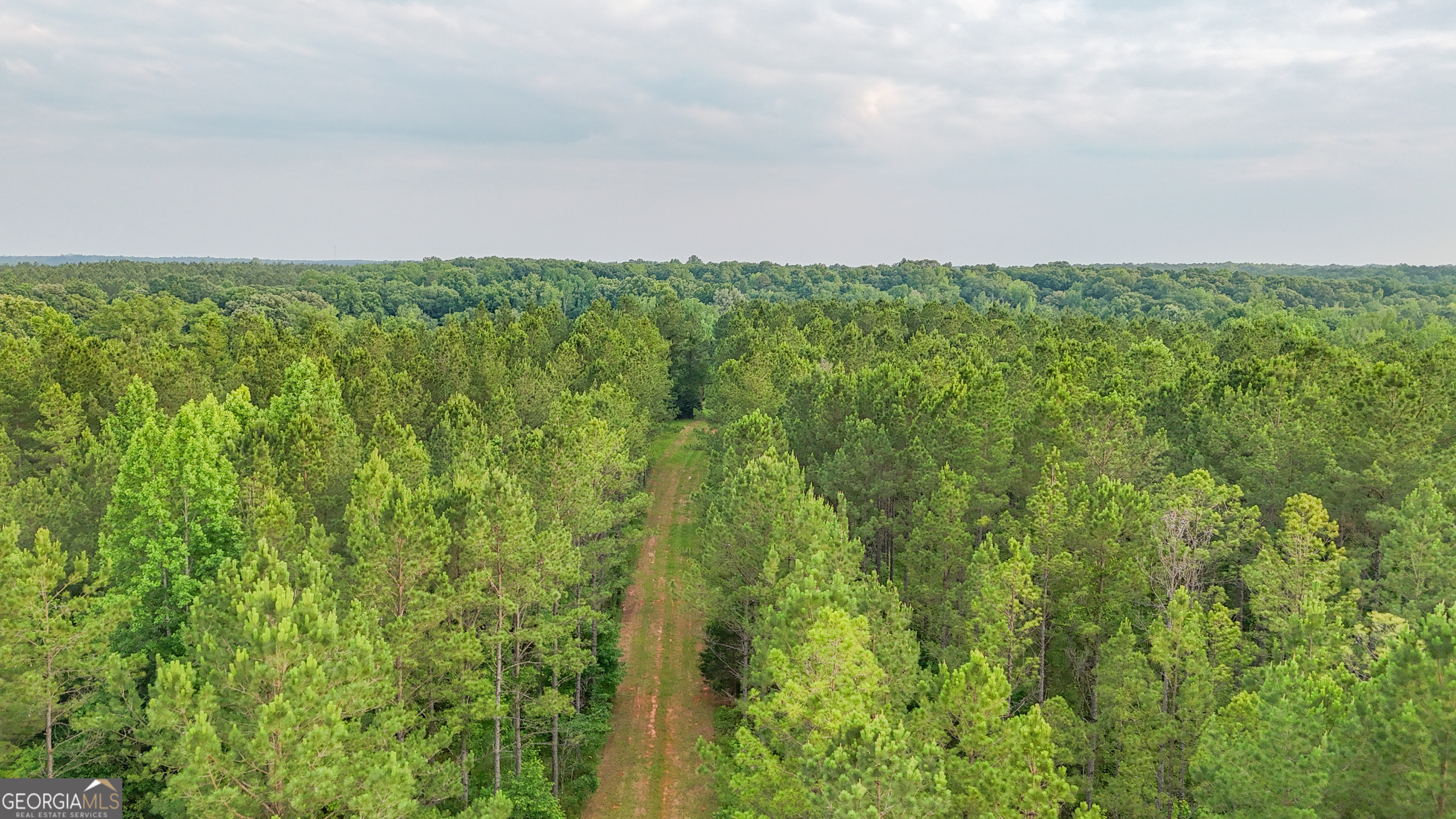 3644-3792 Fortune Hole Road Property Photo 23