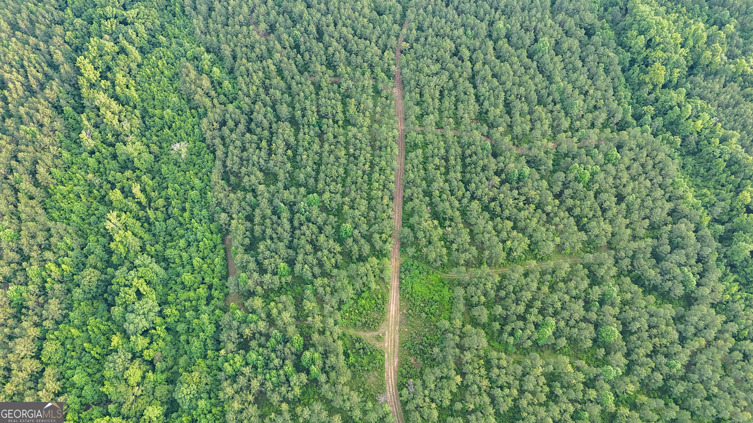 3644-3792 Fortune Hole Road Property Photo 25