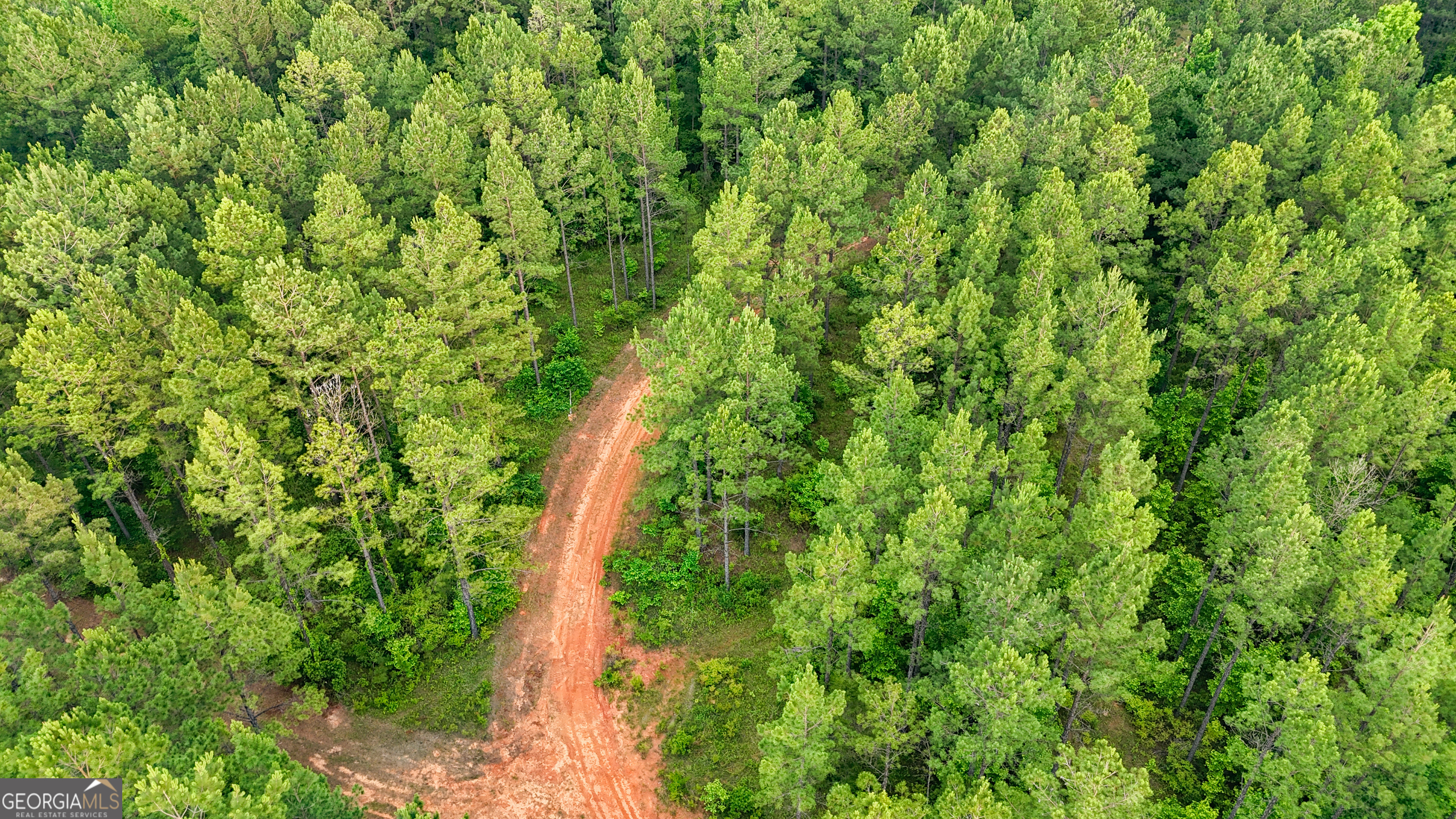 3644-3792 Fortune Hole Road Property Photo 29