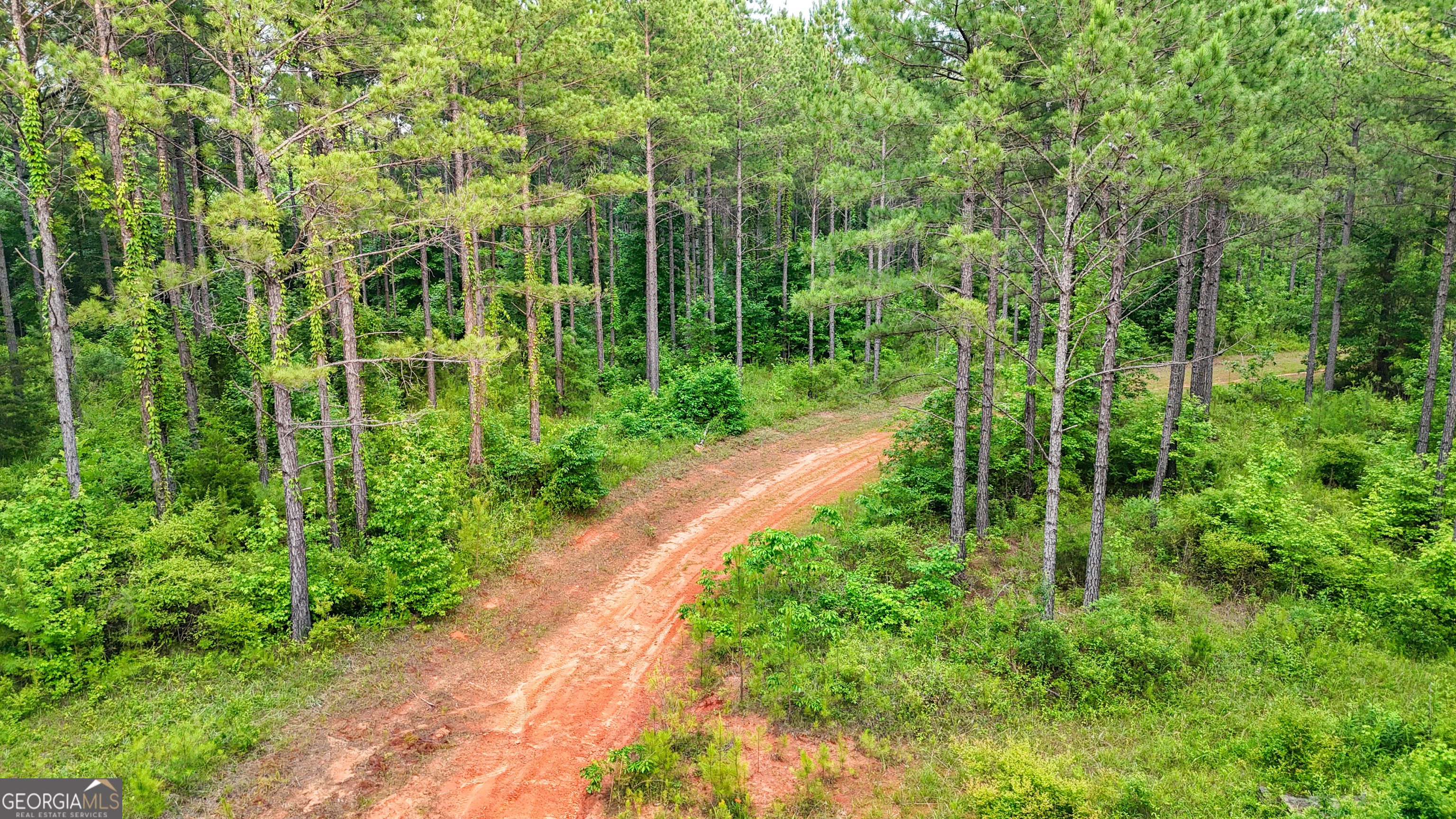 3644-3792 Fortune Hole Road Property Photo 30
