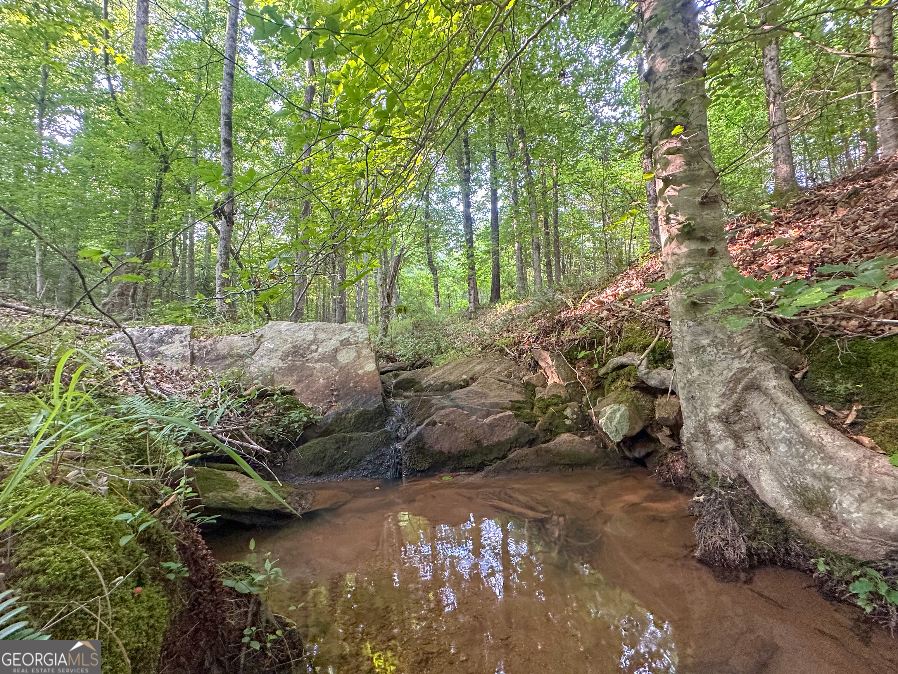 3644-3792 Fortune Hole Road Property Photo 32