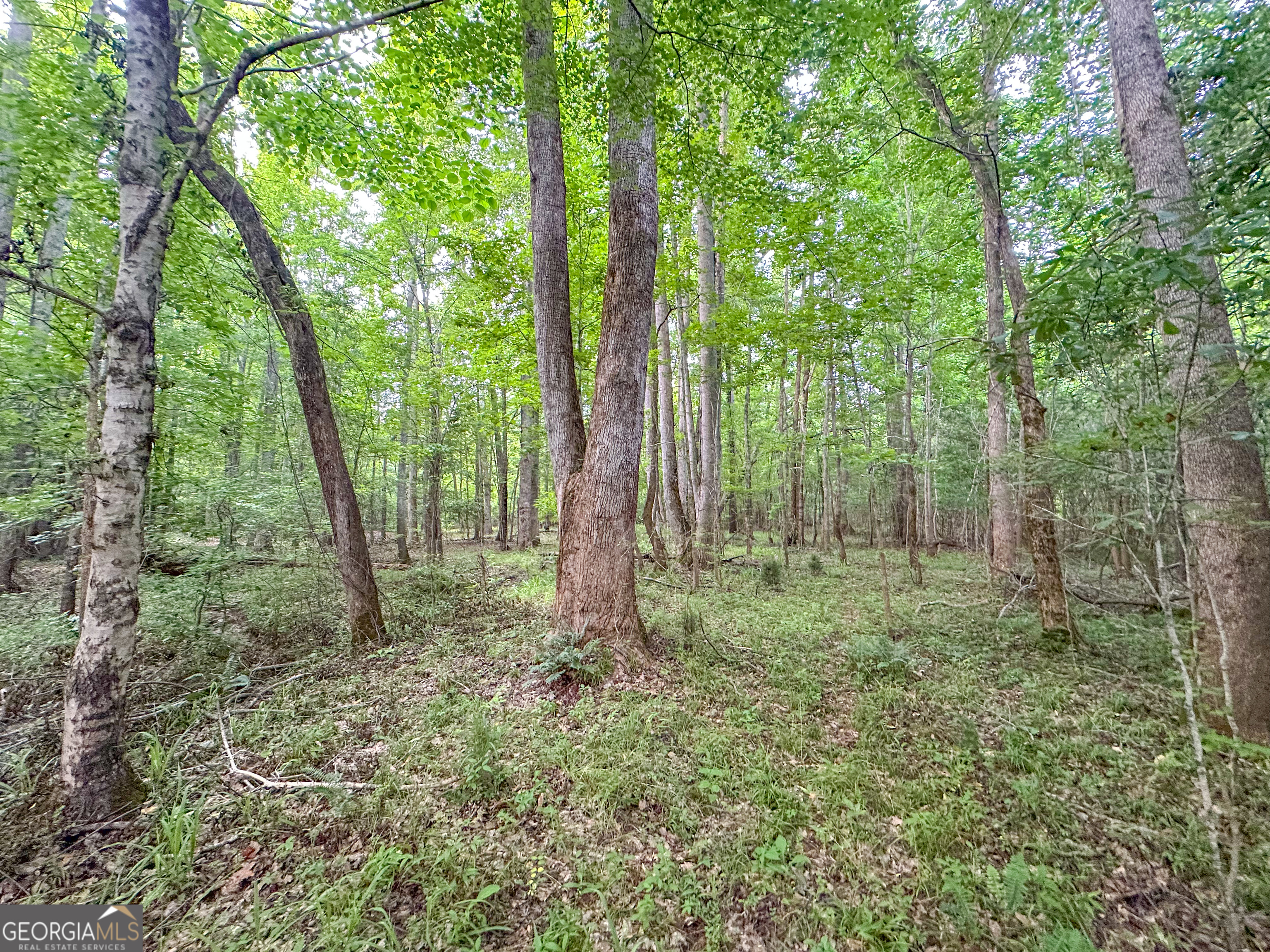 3644-3792 Fortune Hole Road Property Photo 33