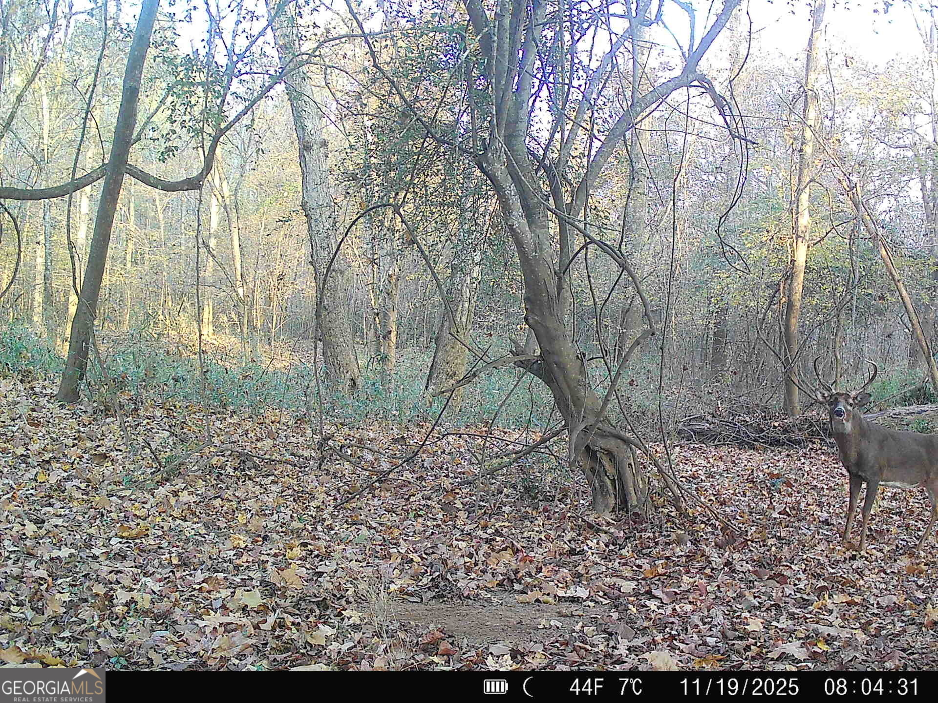 3644-3792 Fortune Hole Road Property Photo 36
