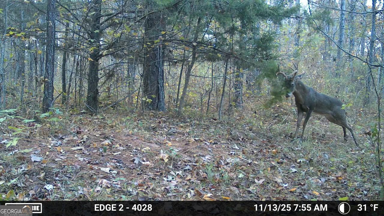 3644-3792 Fortune Hole Road Property Photo 41