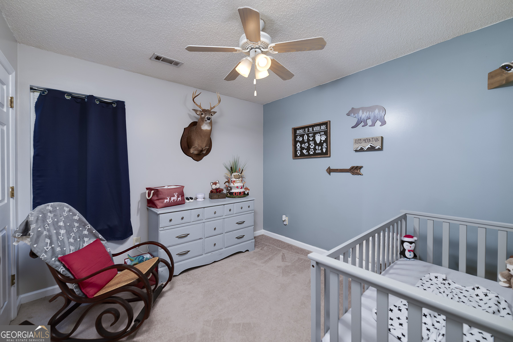 5 Timber Walk Place Property Photo 39