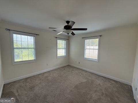1599 Lower River Road Property Photo 6
