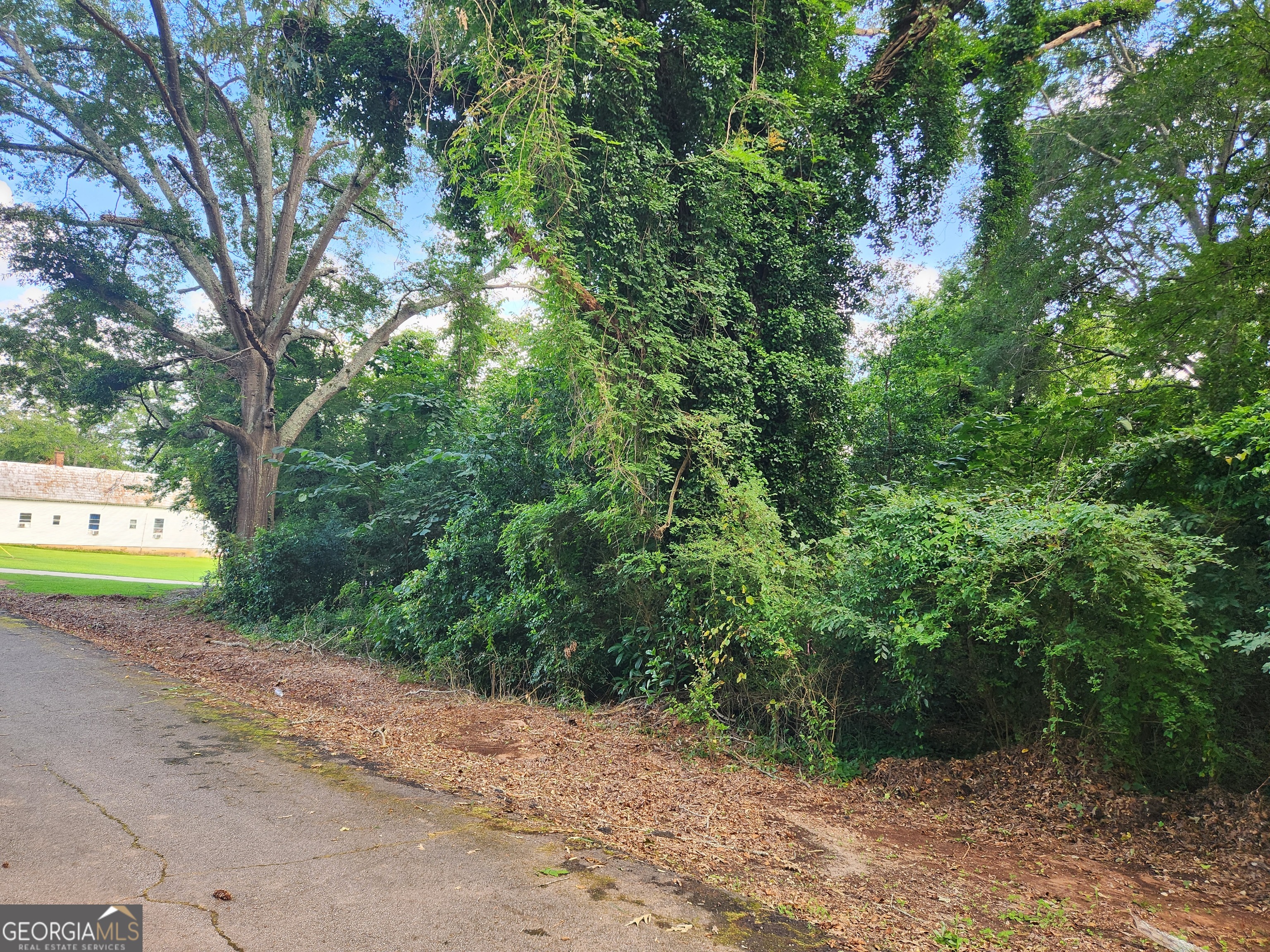 0 Edwards Lane Property Photo 1