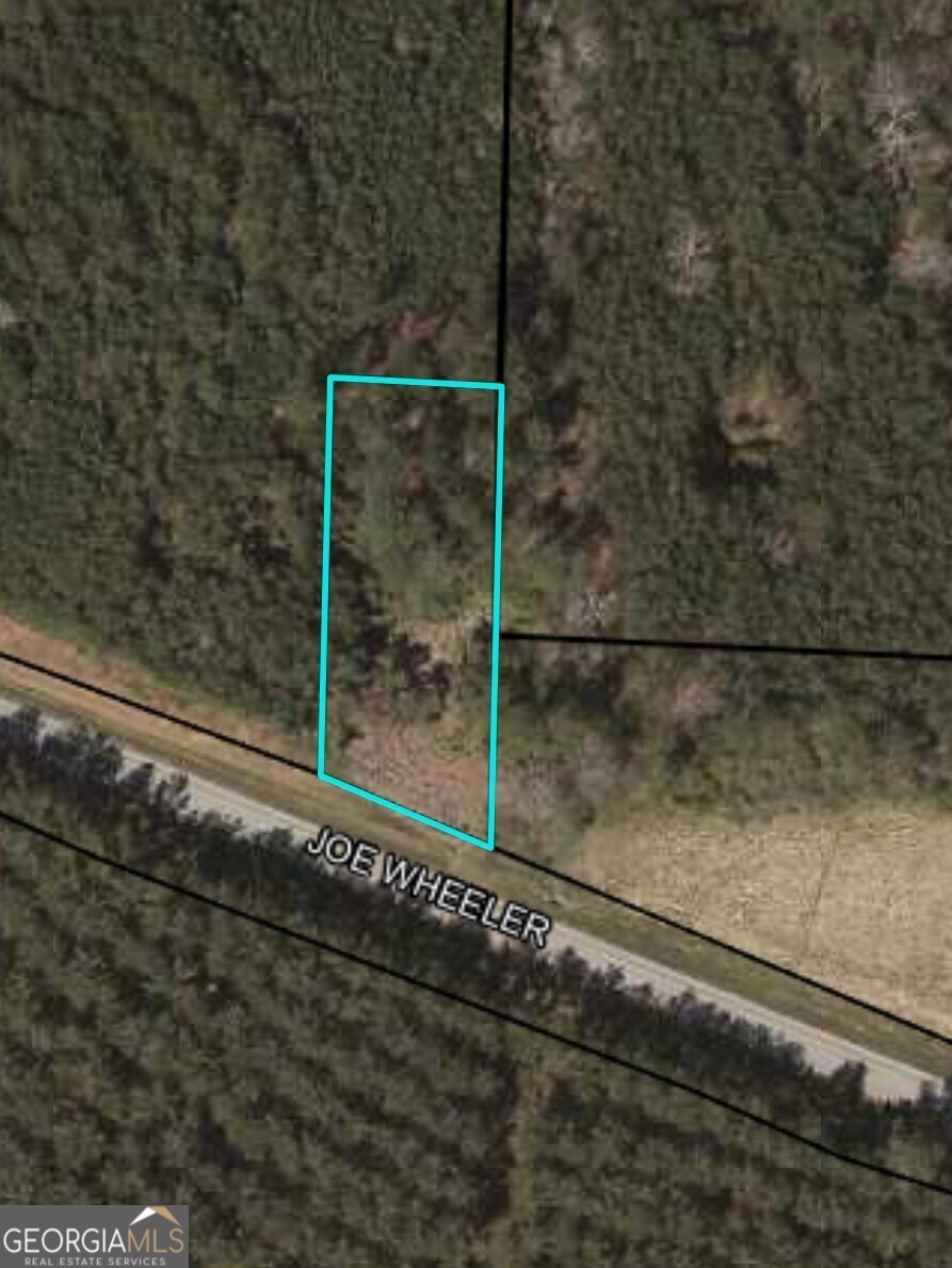 0 Us Highway 278 Property Photo 1