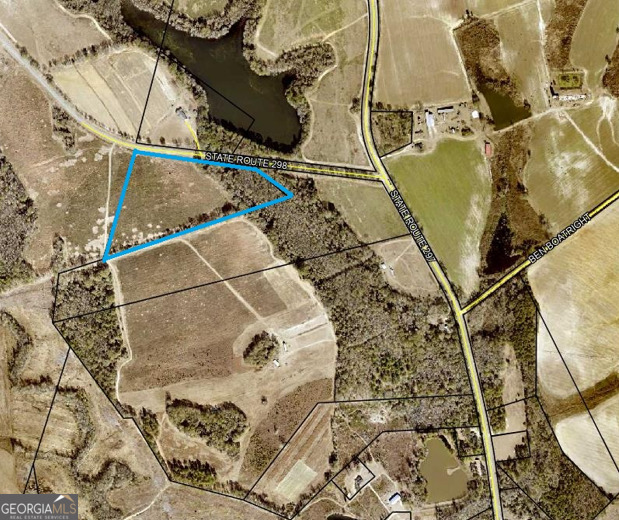 0 Ga Hwy 298 Property Photo 1