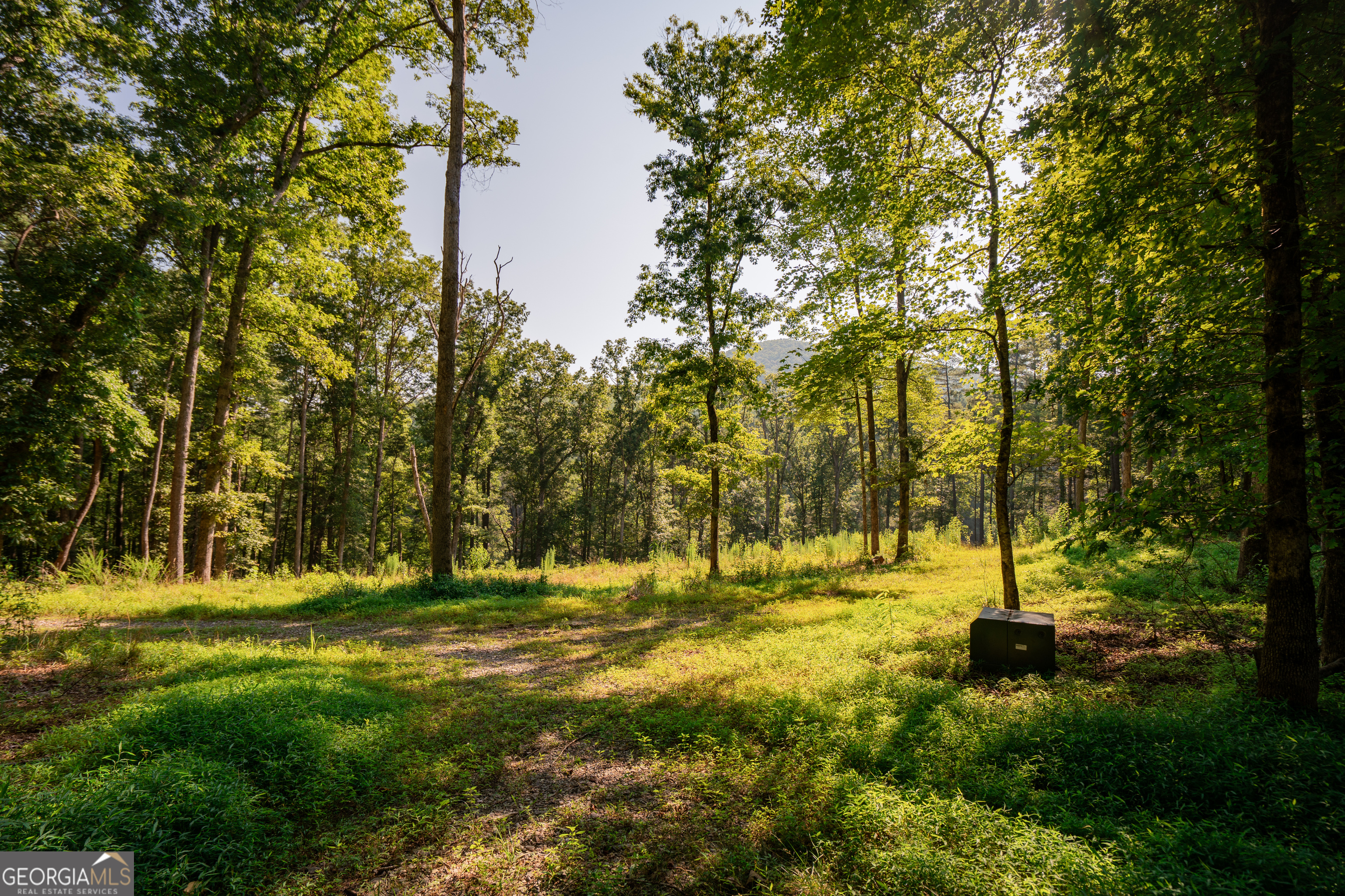 0 Old Rock Creek Road Property Photo 35